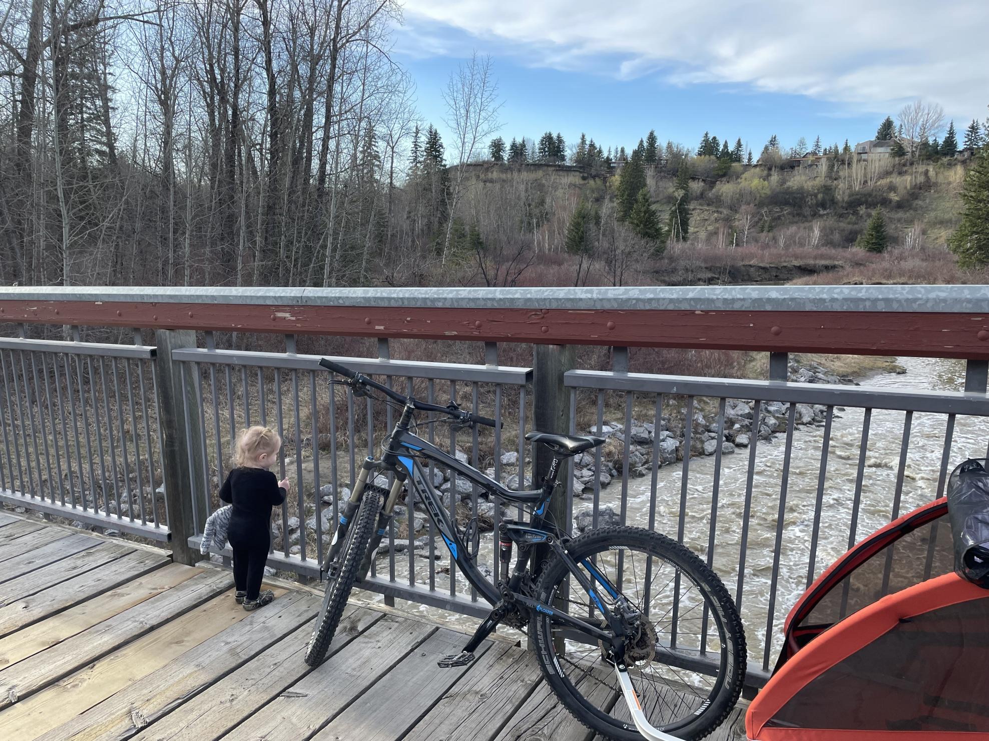 2012 Trek Fuel EX 7 Black