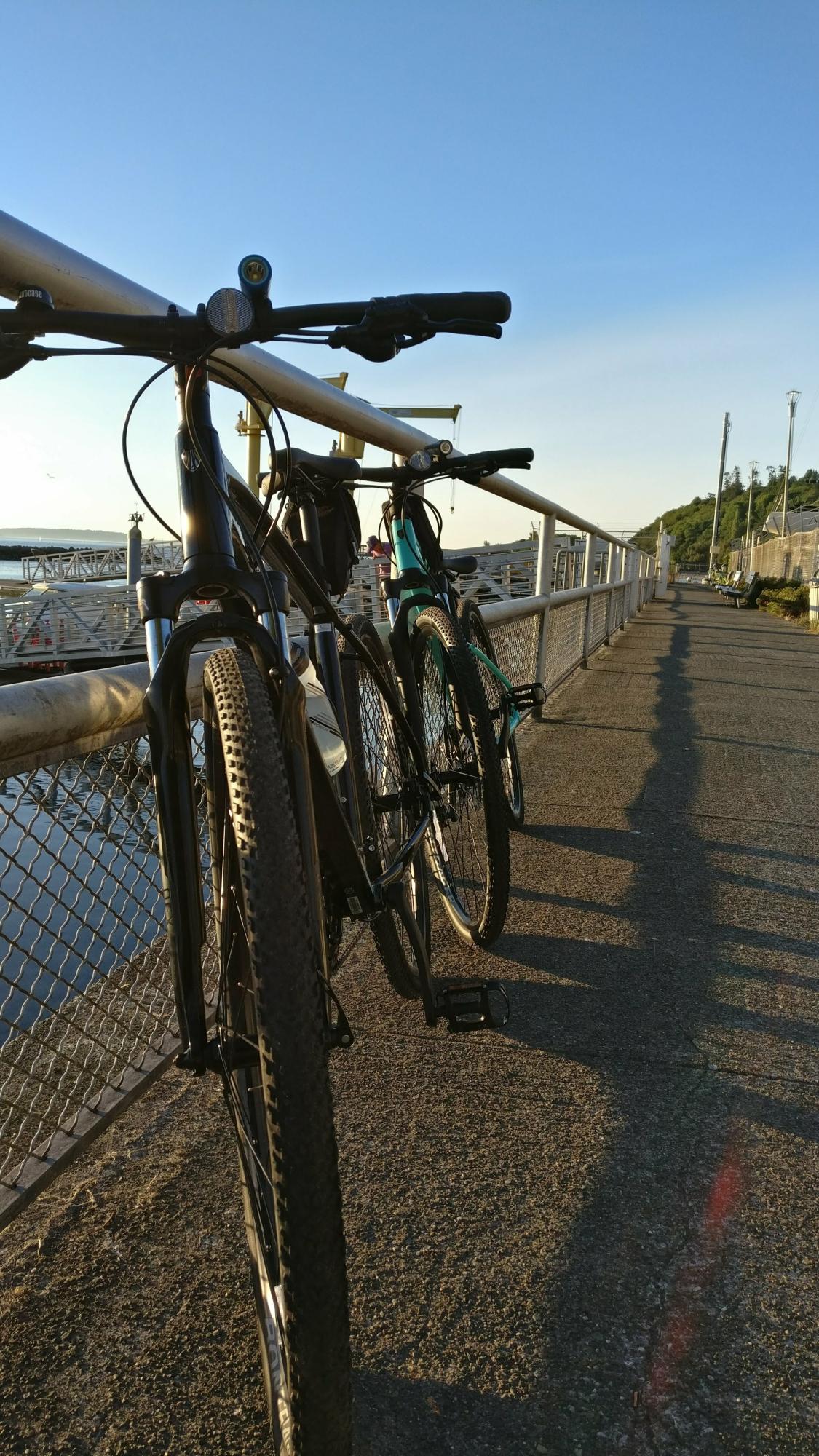 2019 Trek DS 2 Black
