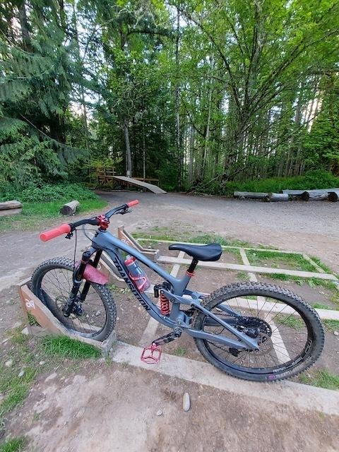 2020 Transition Bikes Patrol Silver, gray or bare metal