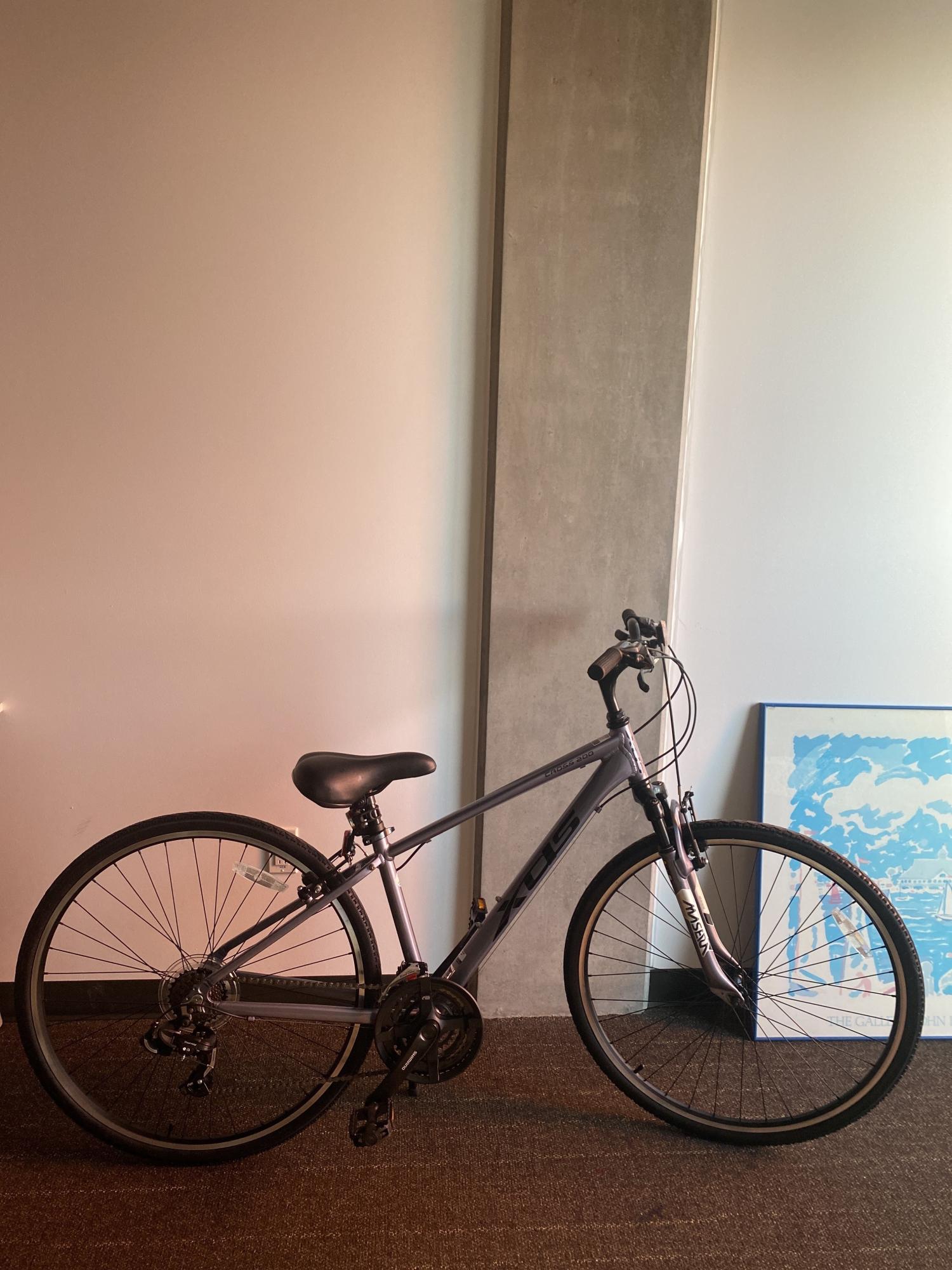 Xds XDS Alloy Frame (XDS Cross 200 Hybrid... Silver, gray or bare metal