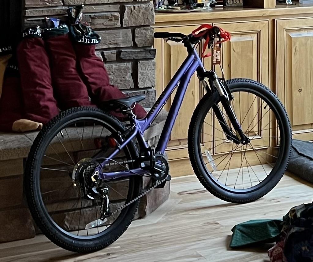 2021 Norco Bikes Storm 4.2 Purple