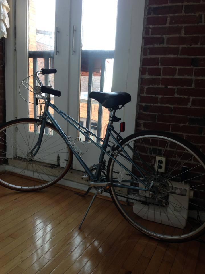 2016 Nishiki 10 speed Sport Silver or Gray