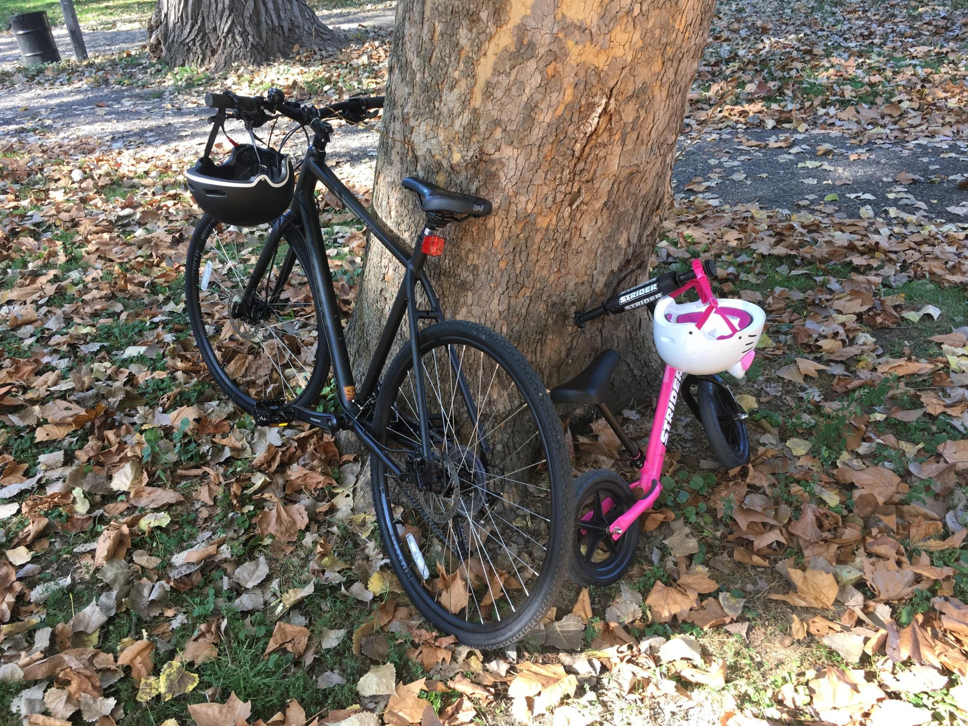 2016 Kona Dew Plus Black