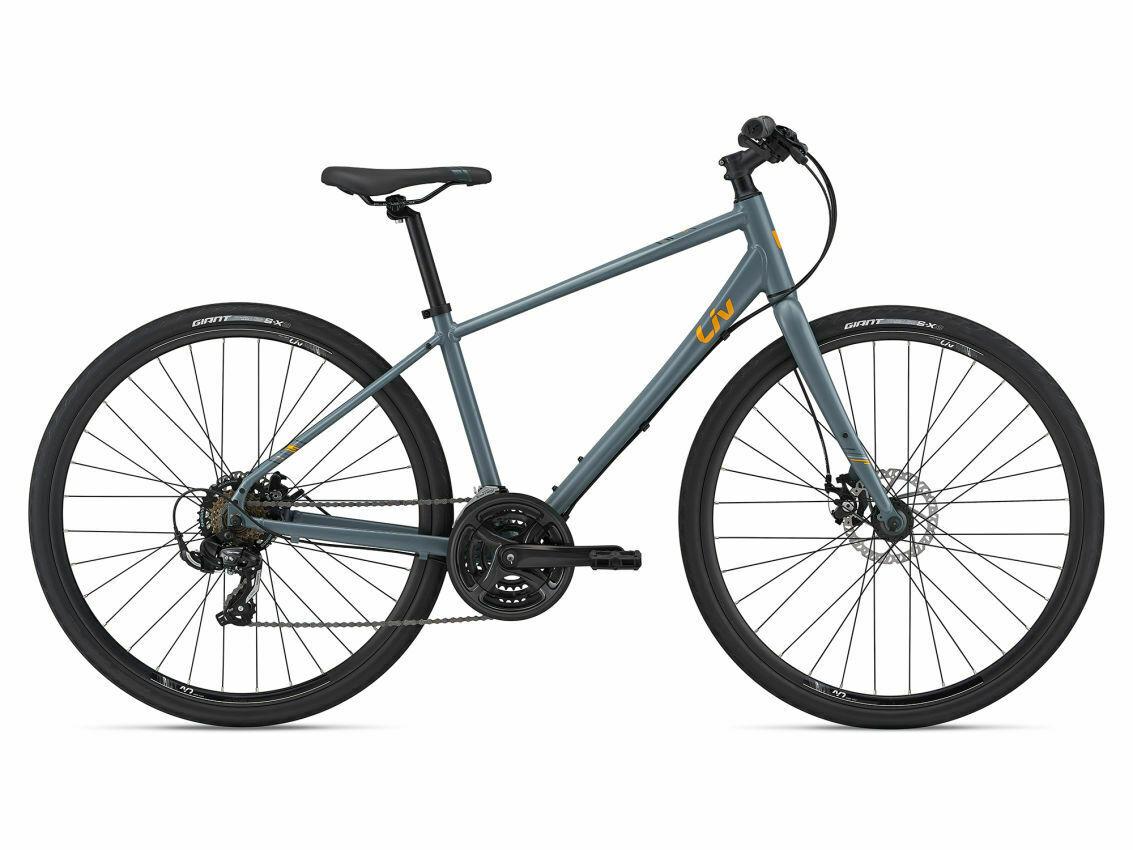 2021 Giant Alight 3 DD Disc Silver, gray or bare metal and Orange
