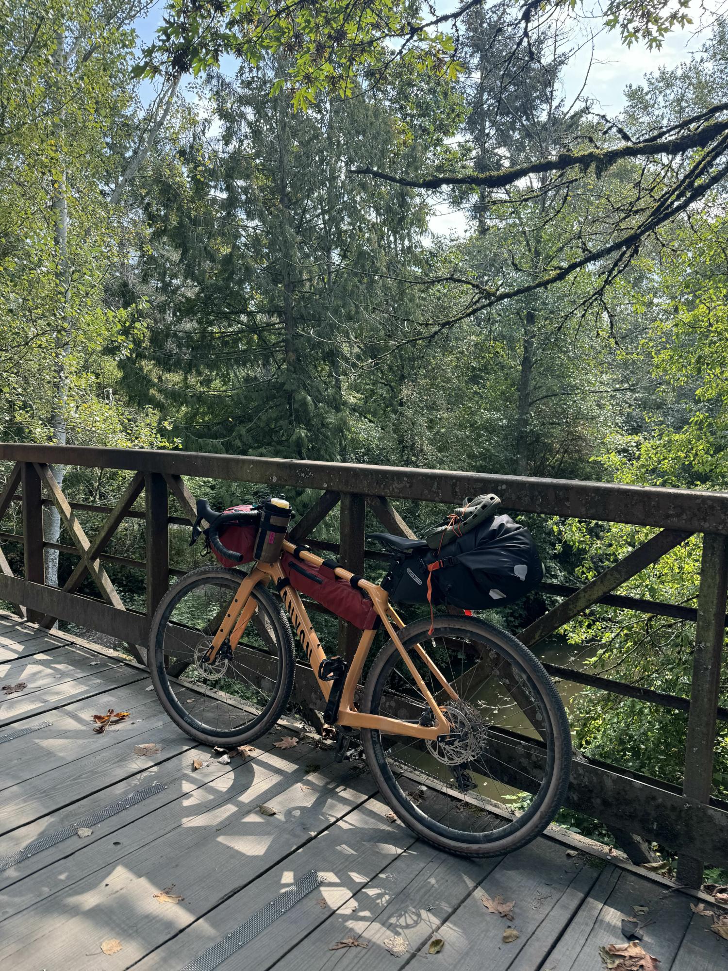 2024 Canyon bicycles Grizl CF SL 7 eTap Orange