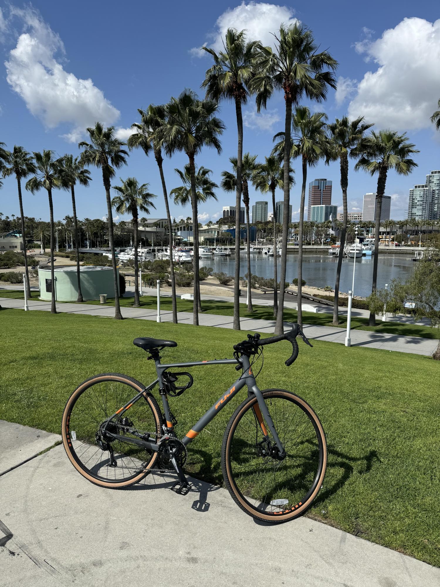 2021 Fuji Silver, gray or bare metal