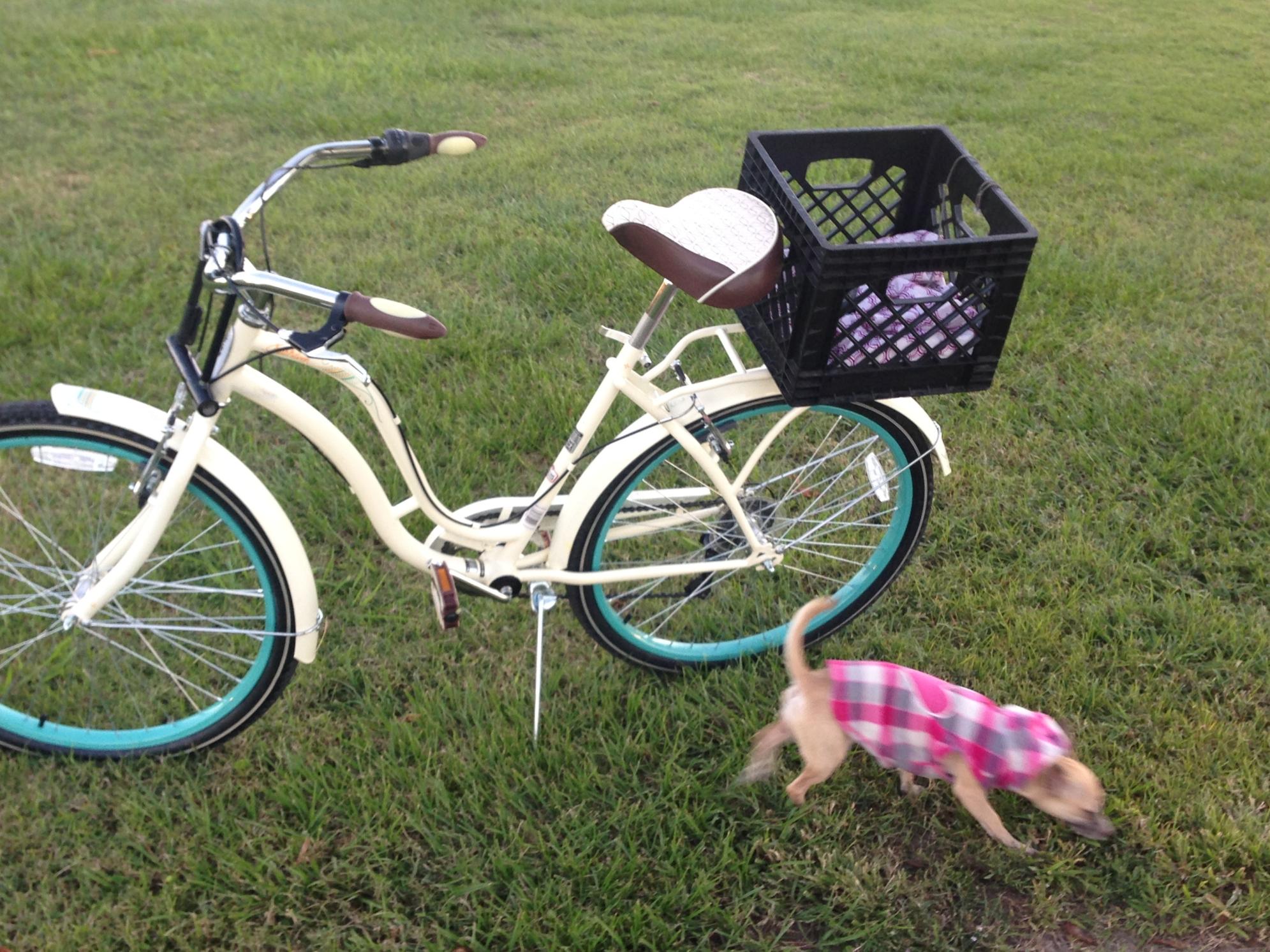2017 Schwinn 26