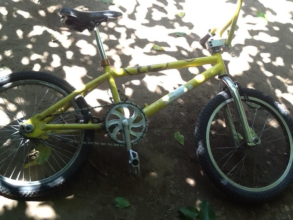 S and M Holmes xl Yellow or Gold