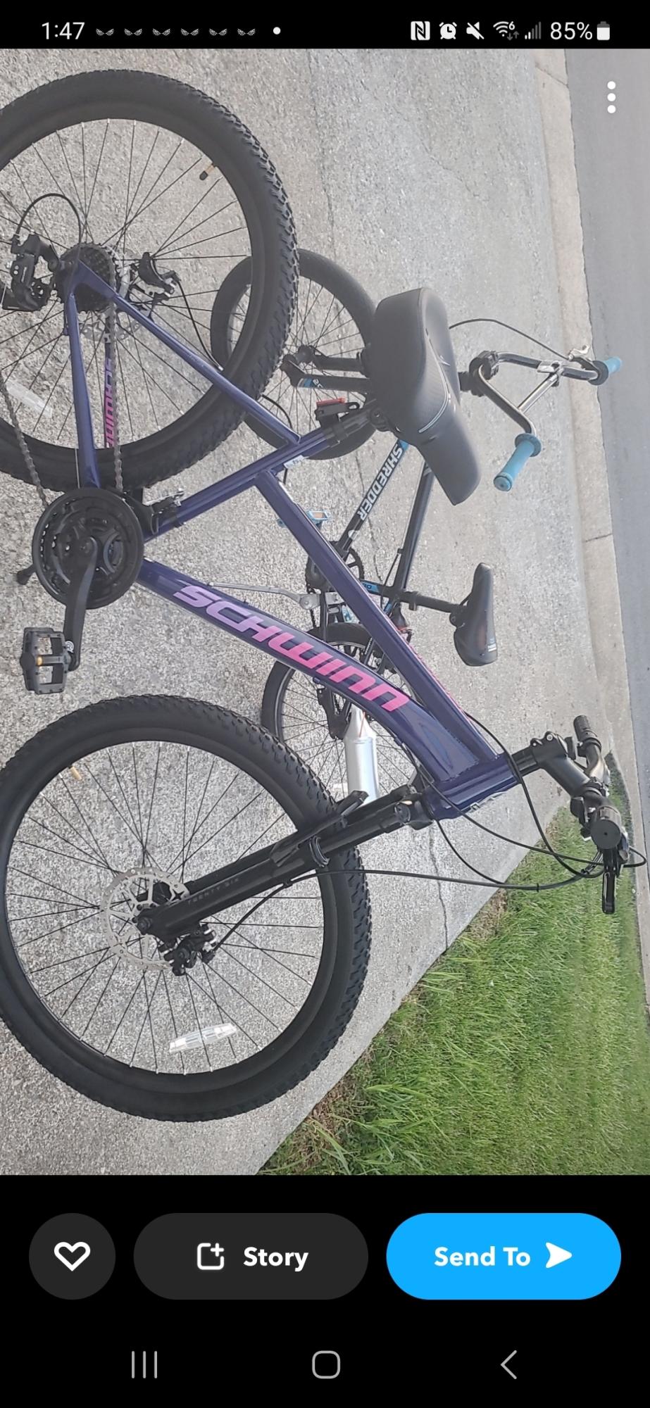 Schwinn Purple