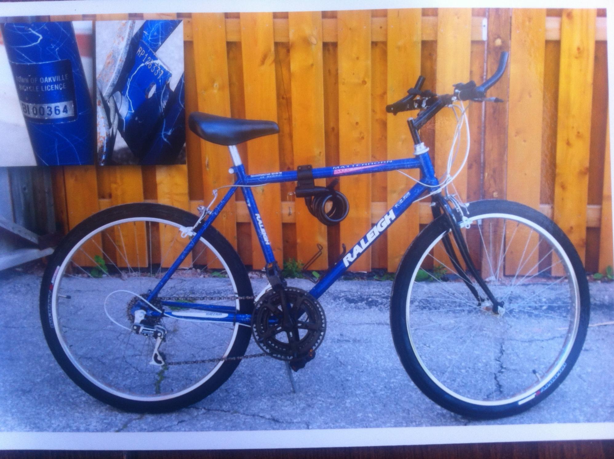 Raleigh Blue