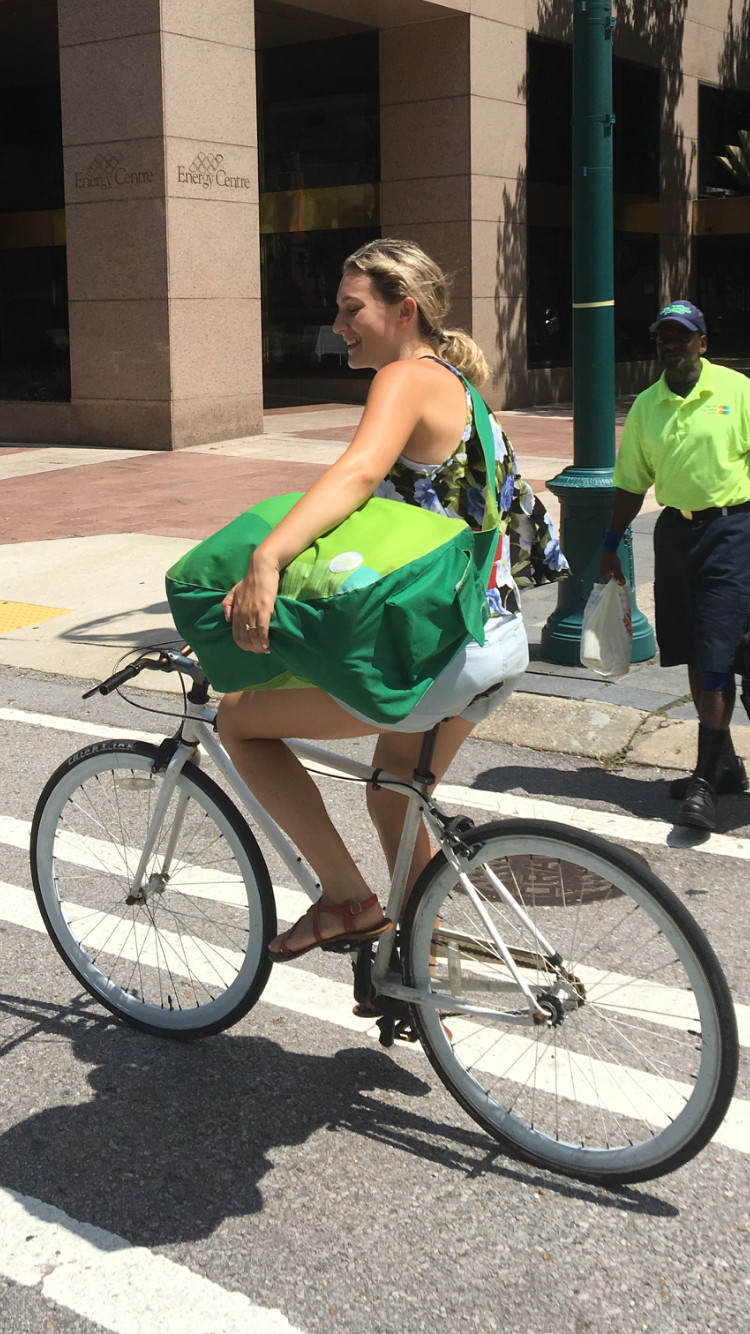 2016 Pure Fix Single speed White