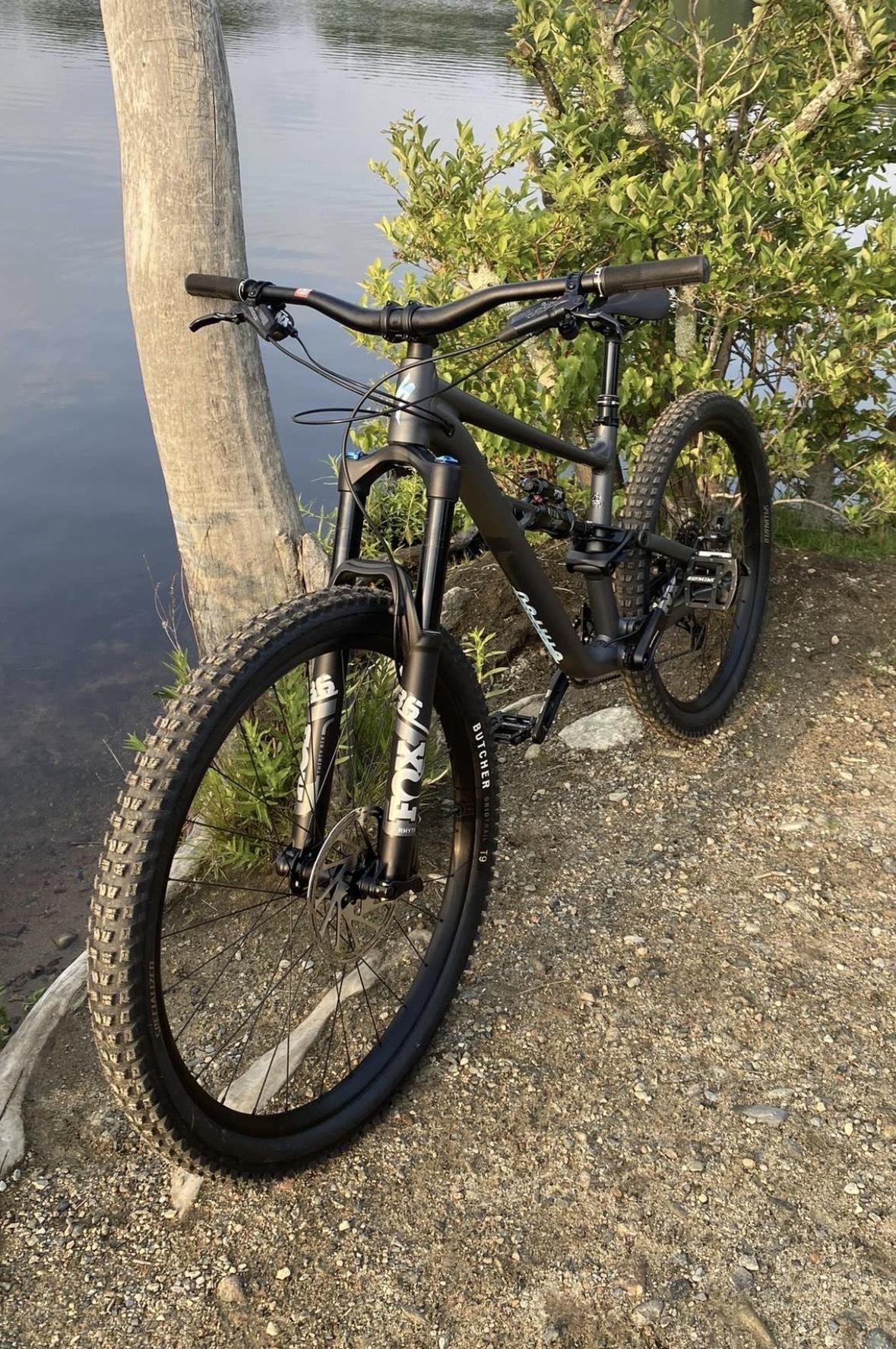 2023 Specialized Status 160 Silver, gray or bare metal