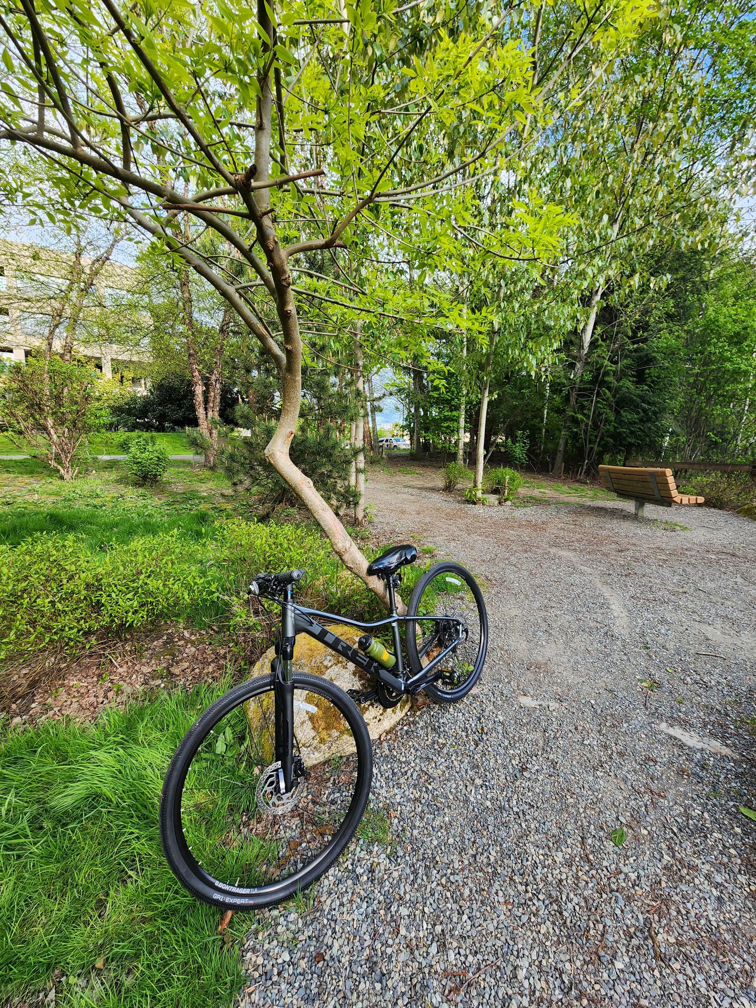 2021 Trek Dual Sport 3 Silver, gray or bare metal