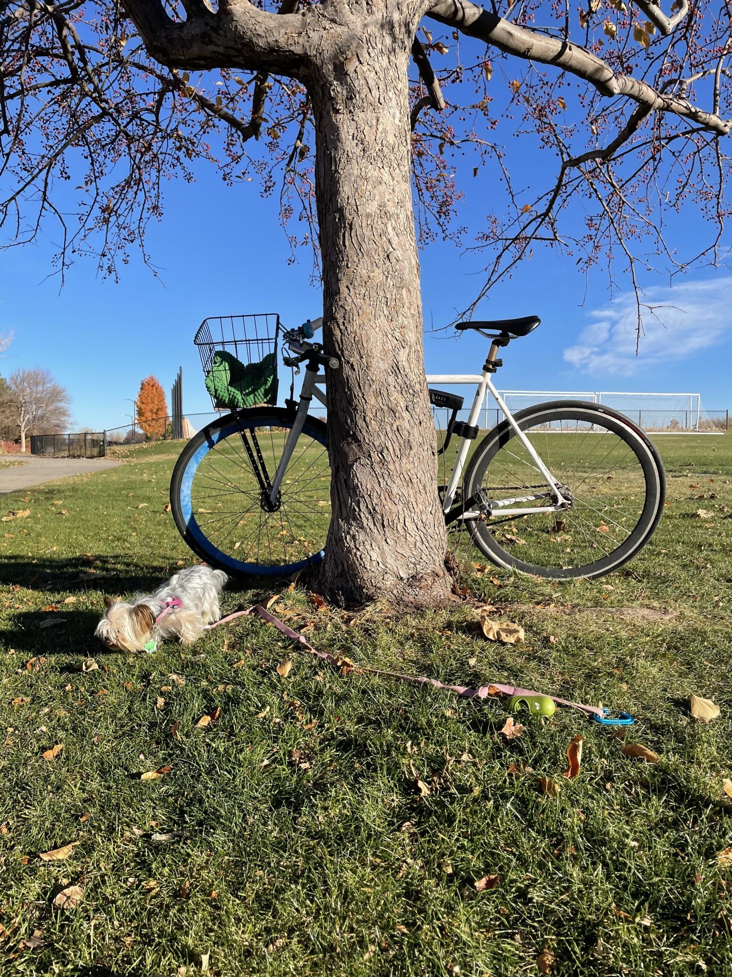 Pure Fix Cycles Pure Fix Original White