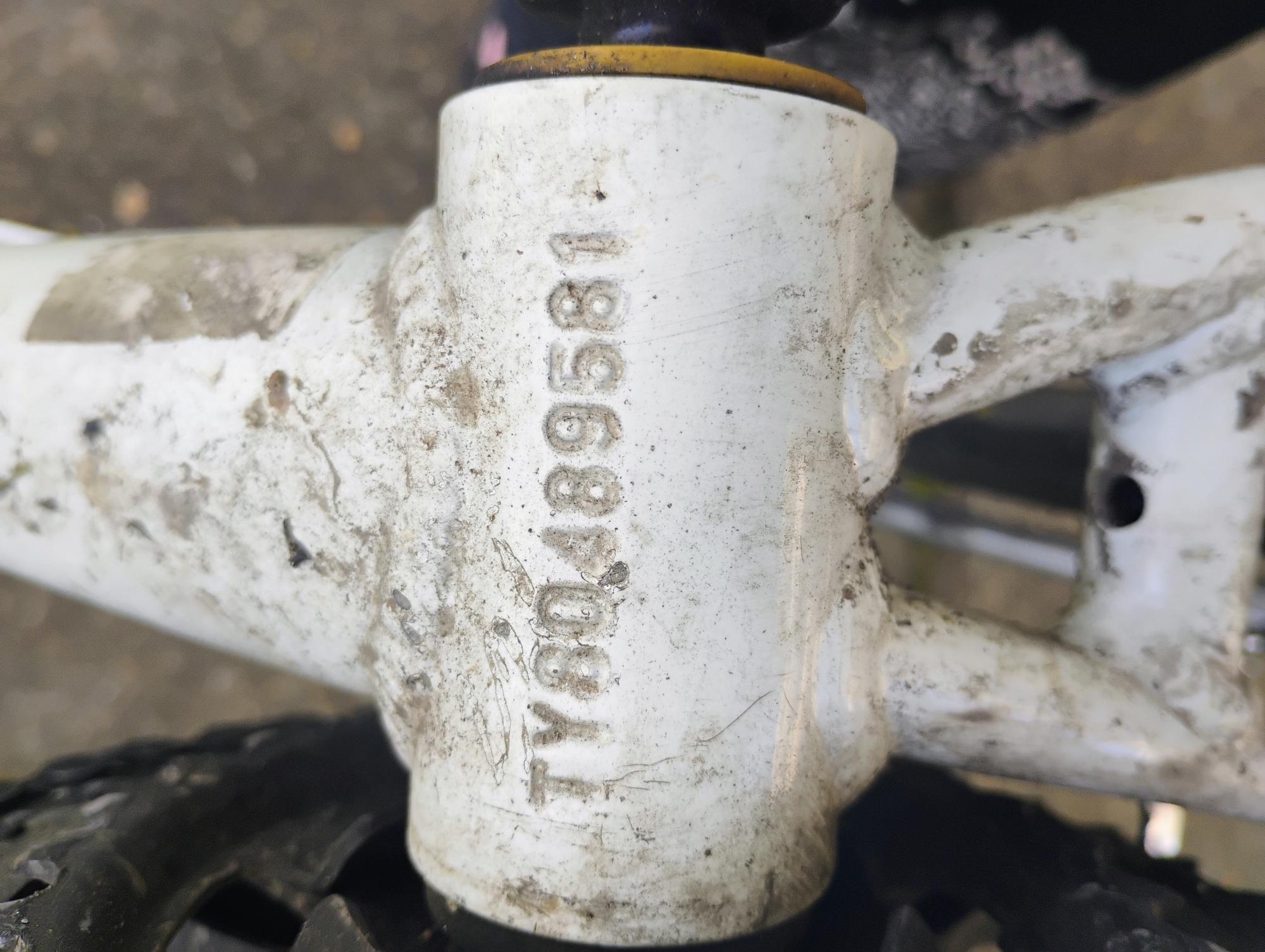 2010 SCOTT Sportster P55 White and Black