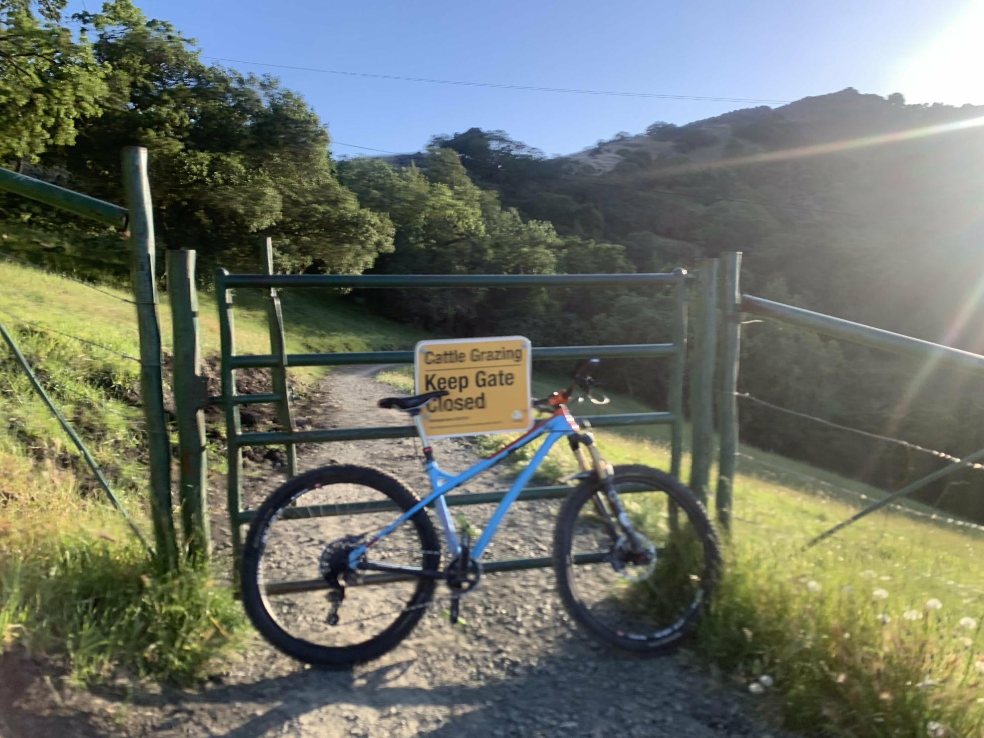 2015 production privee Shan 27 917 Teal and Orange