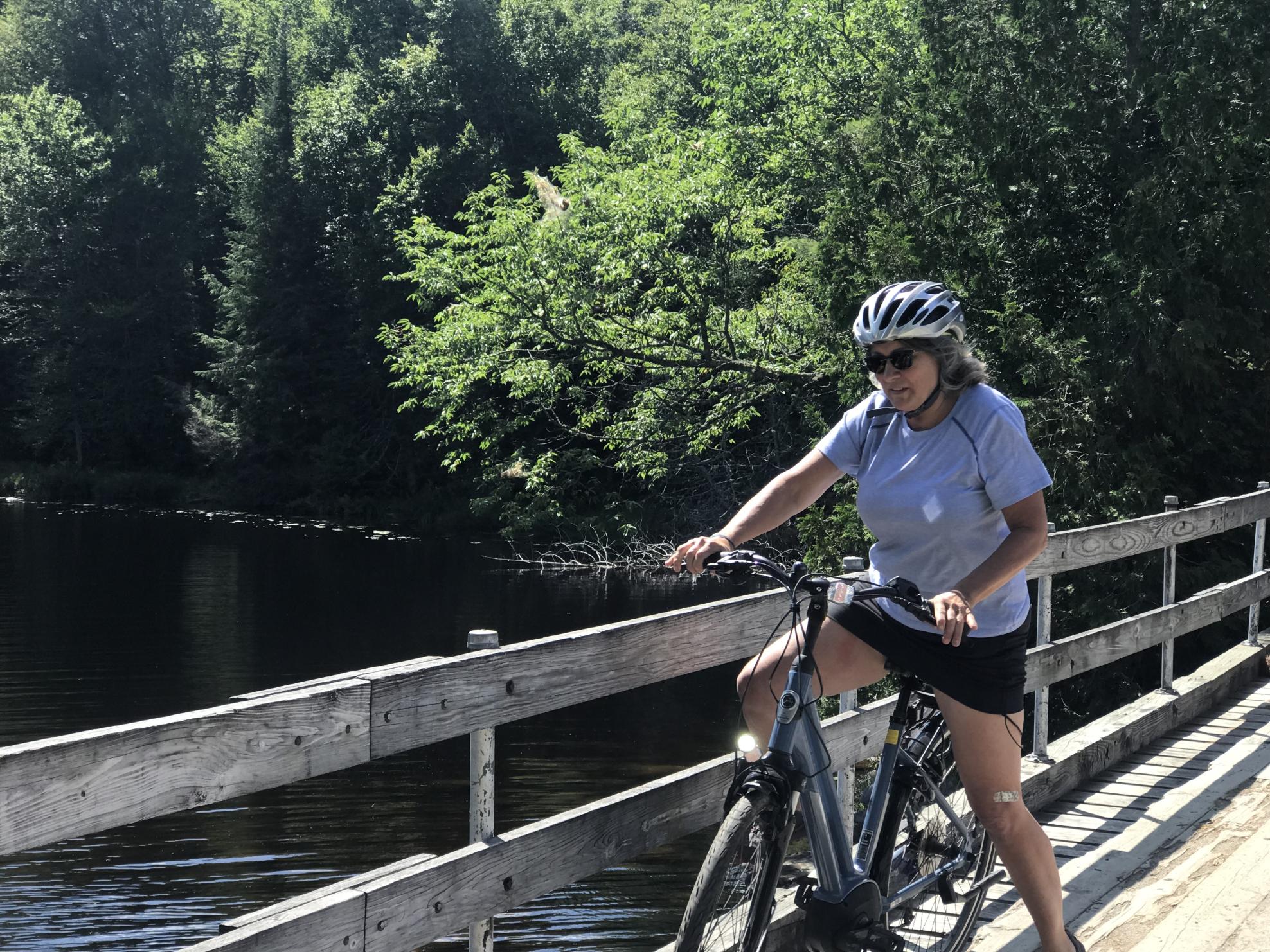 2019 Gazelle Medieval T9 46c Blue