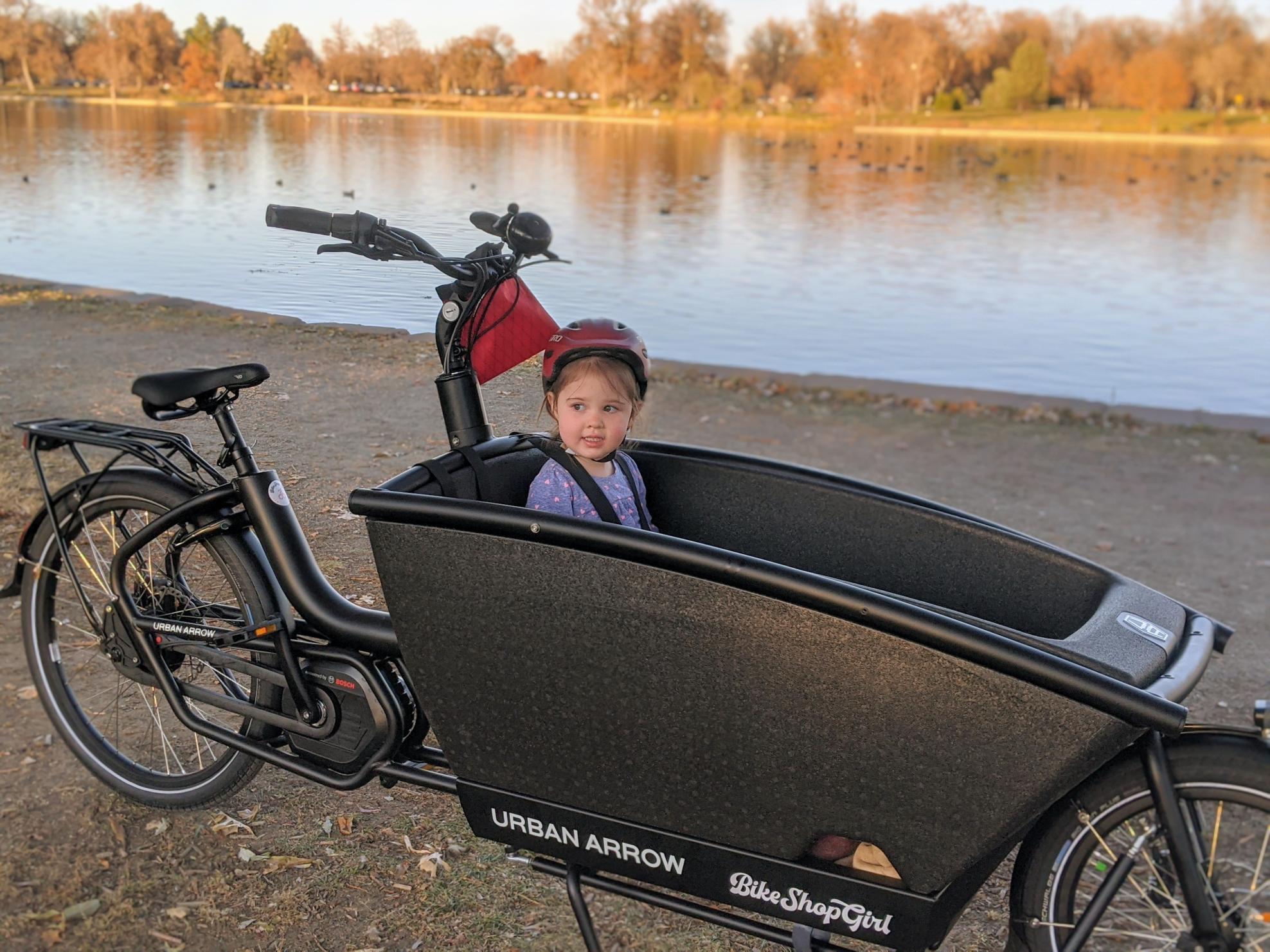 Urban Arrow Family Performance Bike Black