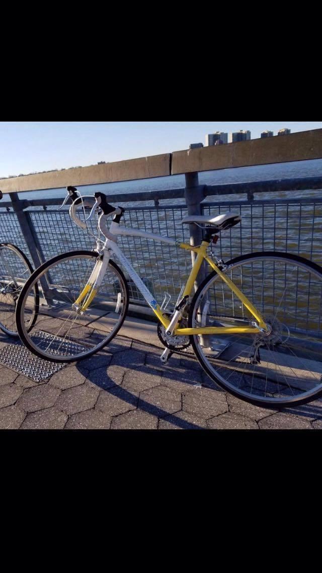 2008 Specialized Dolce White and Yellow or Gold