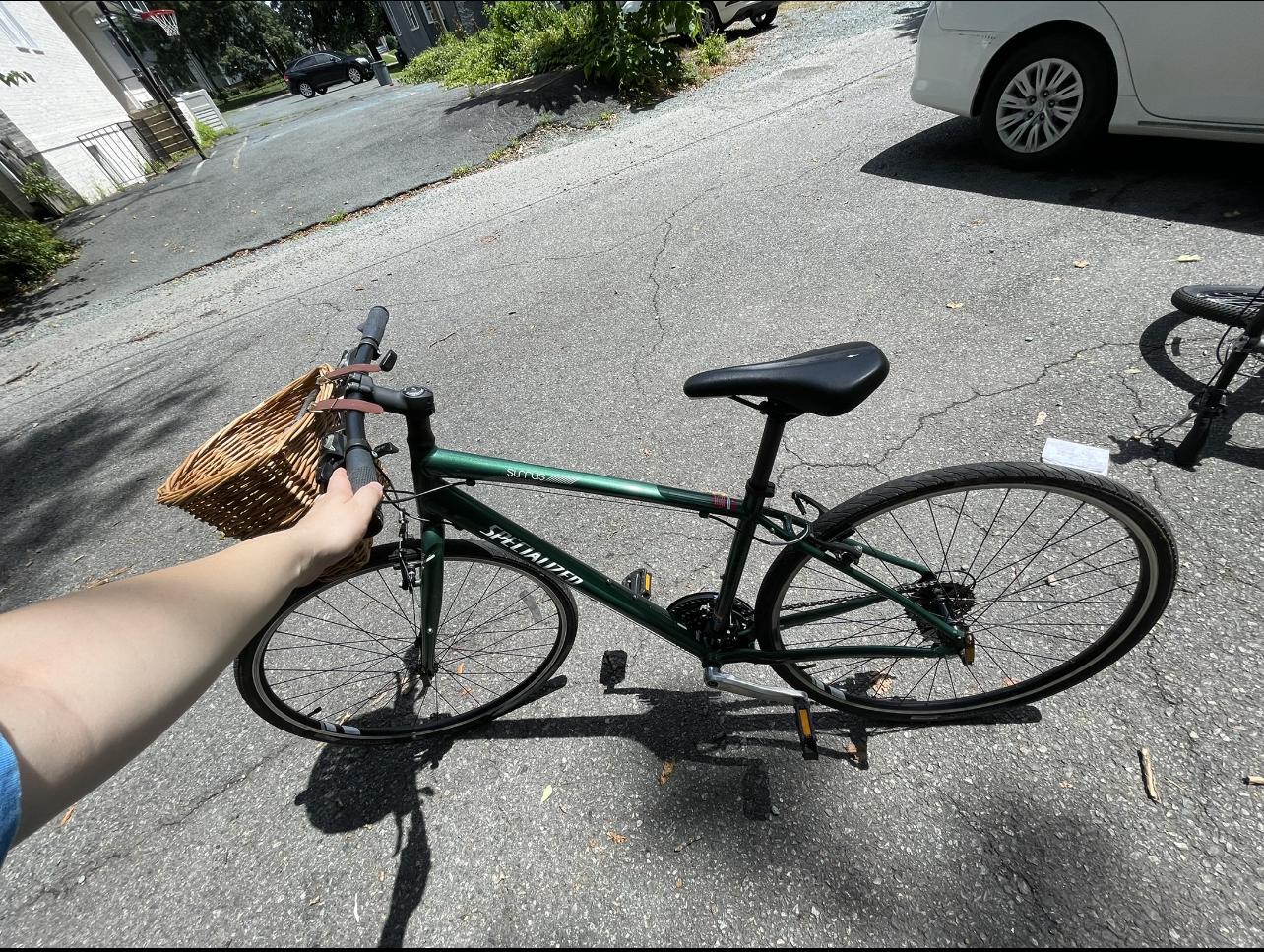 Specialized Sirrus Green