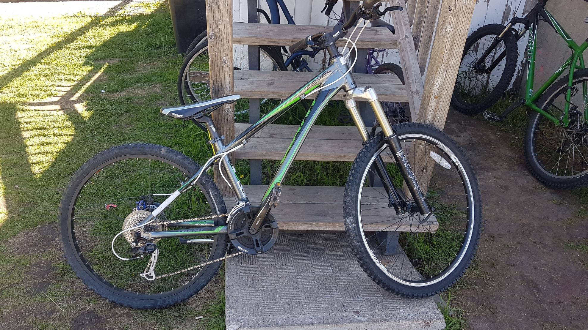 Giant Revel 2 Silver, gray or bare metal