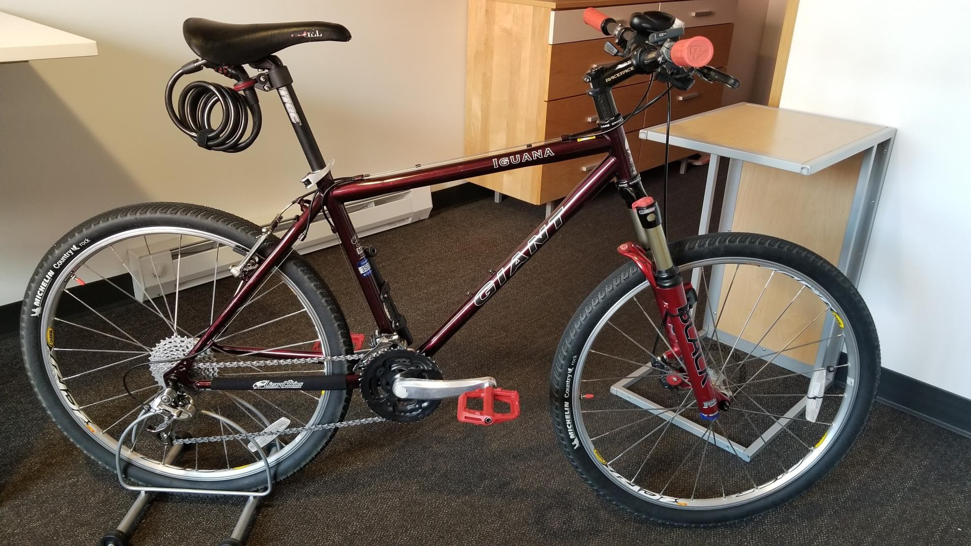 1995 Giant Iguana Red