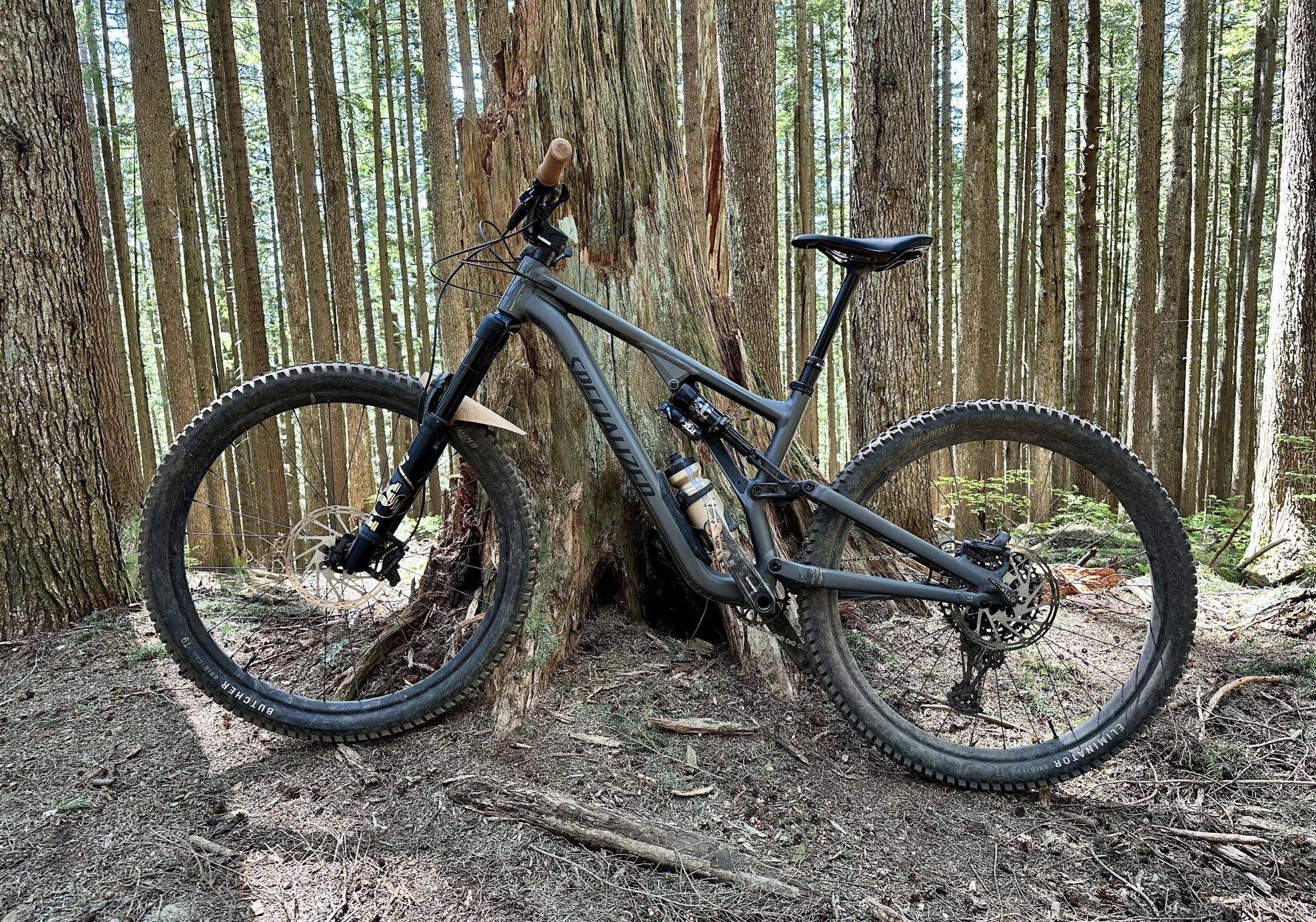 2022 Specialized Stumpjumper Evo Silver, gray or bare metal