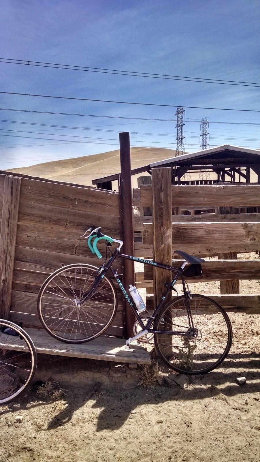 Peugeot Competition 500 Purple