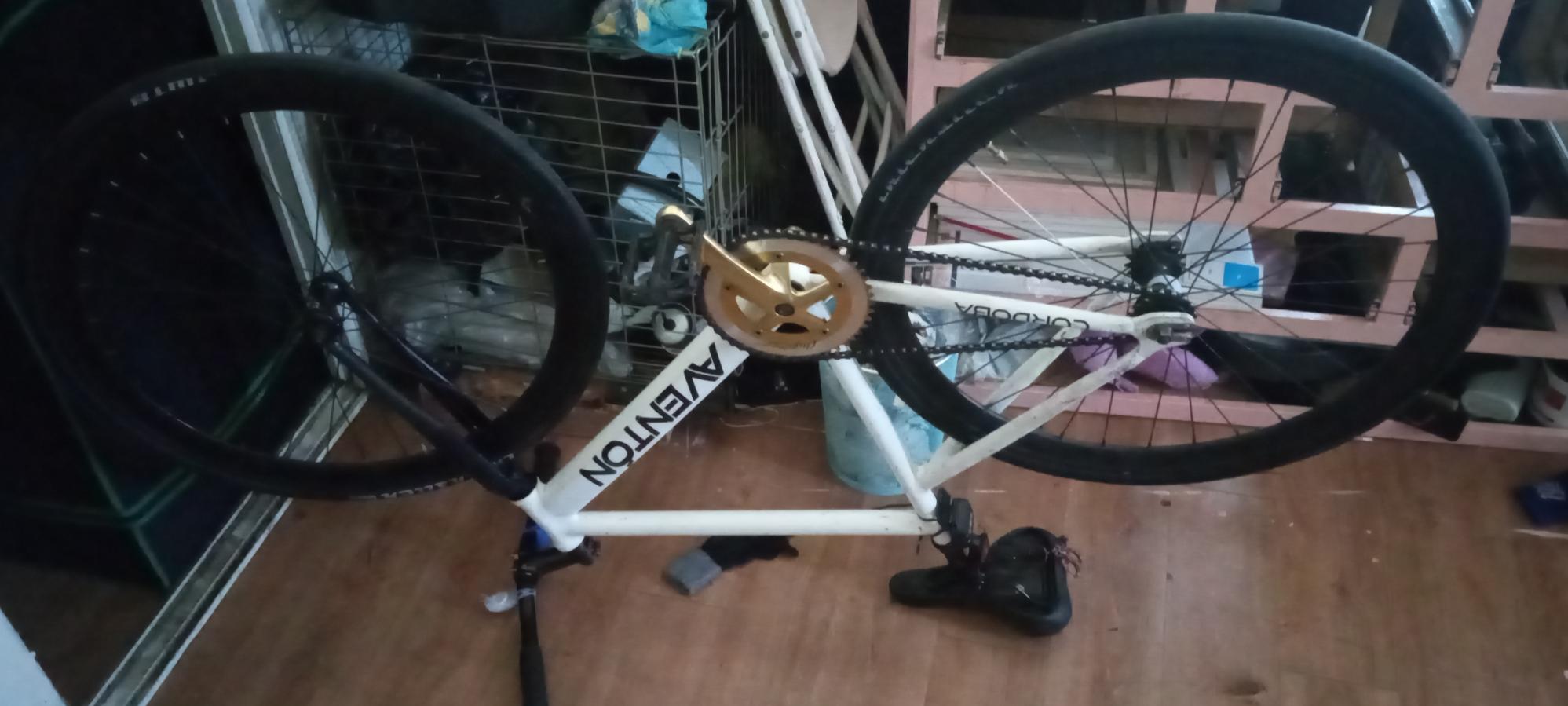 2014 Aventón Cordoba White and Black