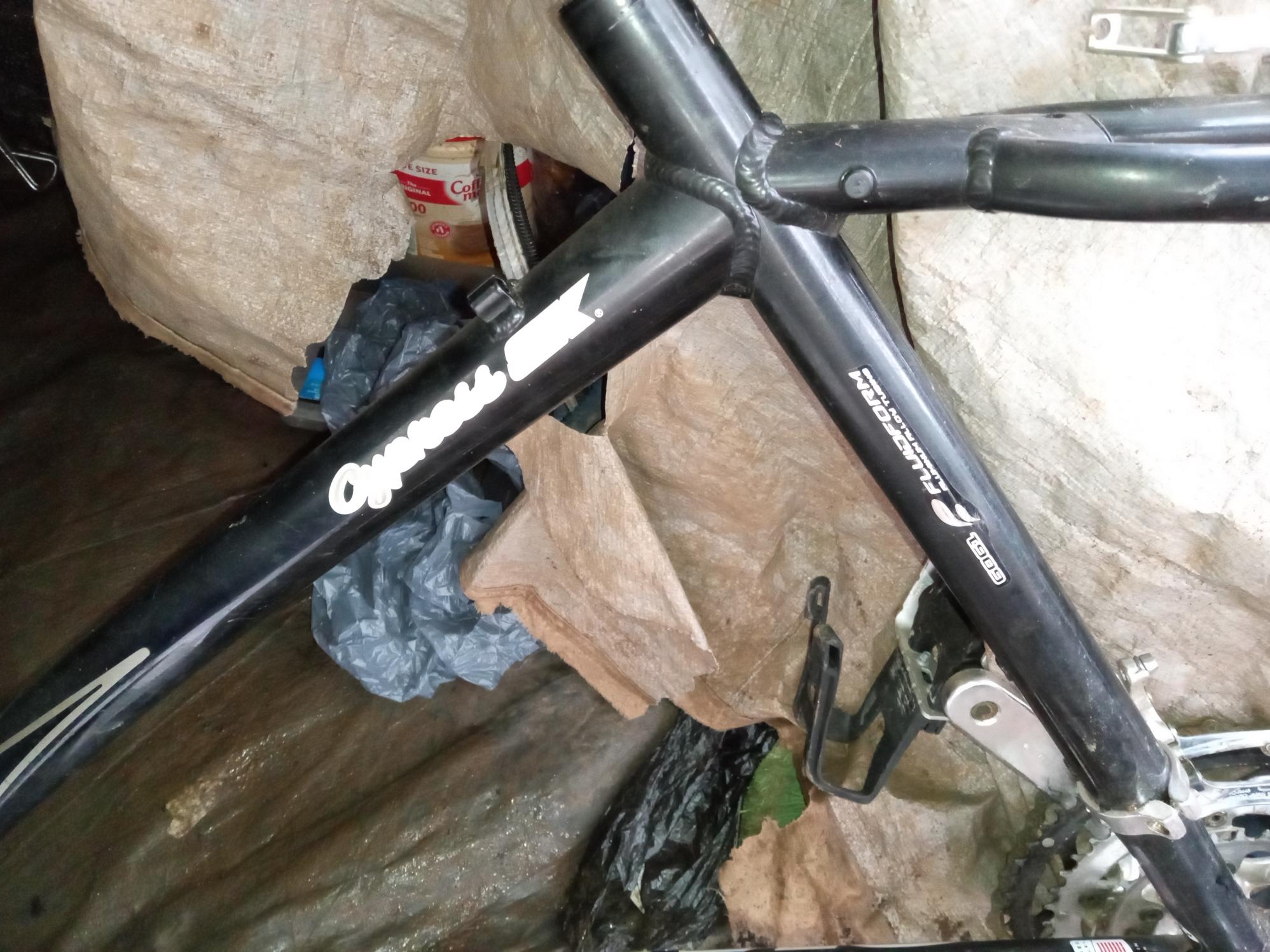 Giant Cypress SX Black