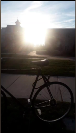 1987 Schwinn World Sport Black