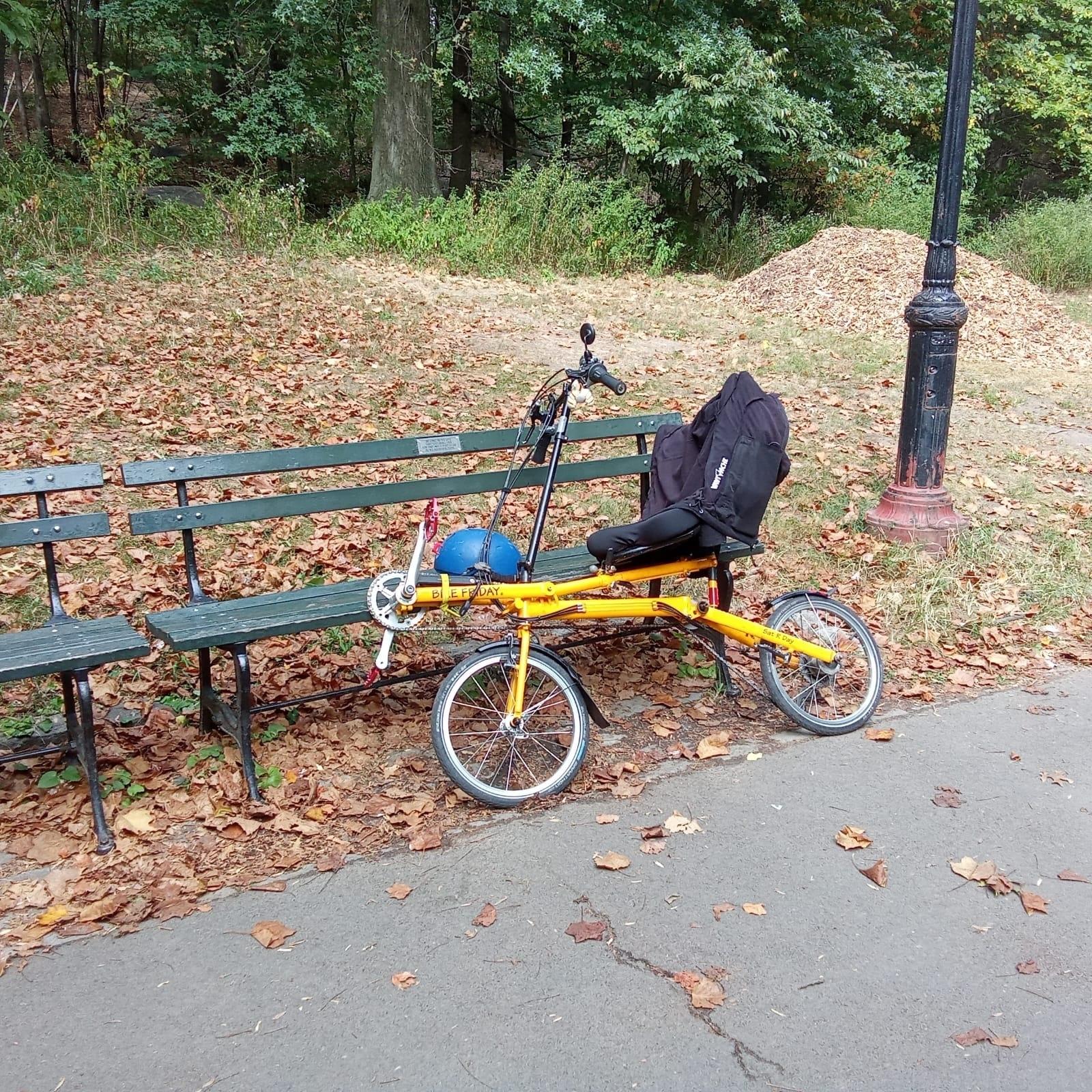 2000 Bike Friday Recumbent folding Yellow or Gold