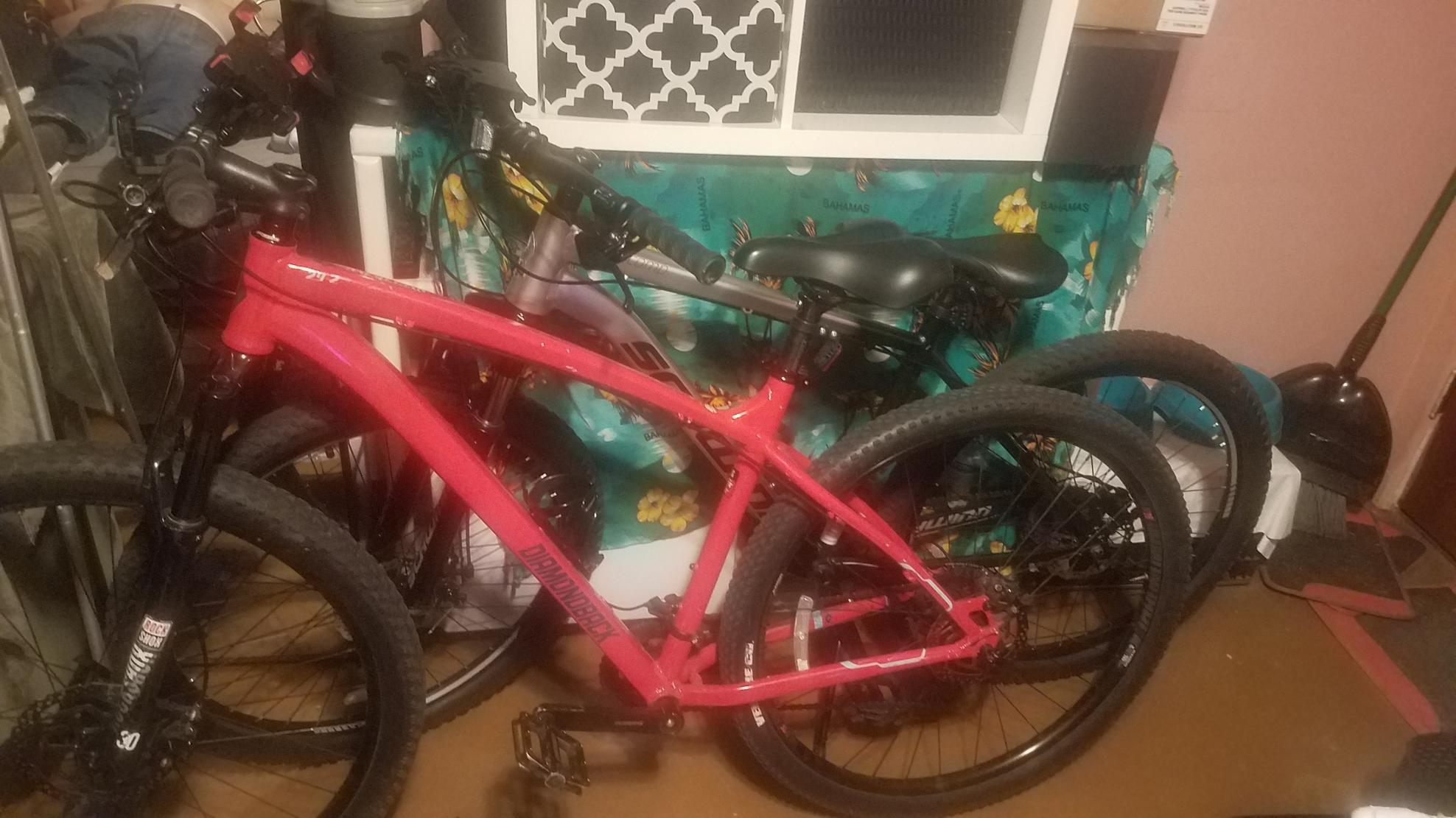 2024 Schwinn Al comp Silver, gray or bare metal
