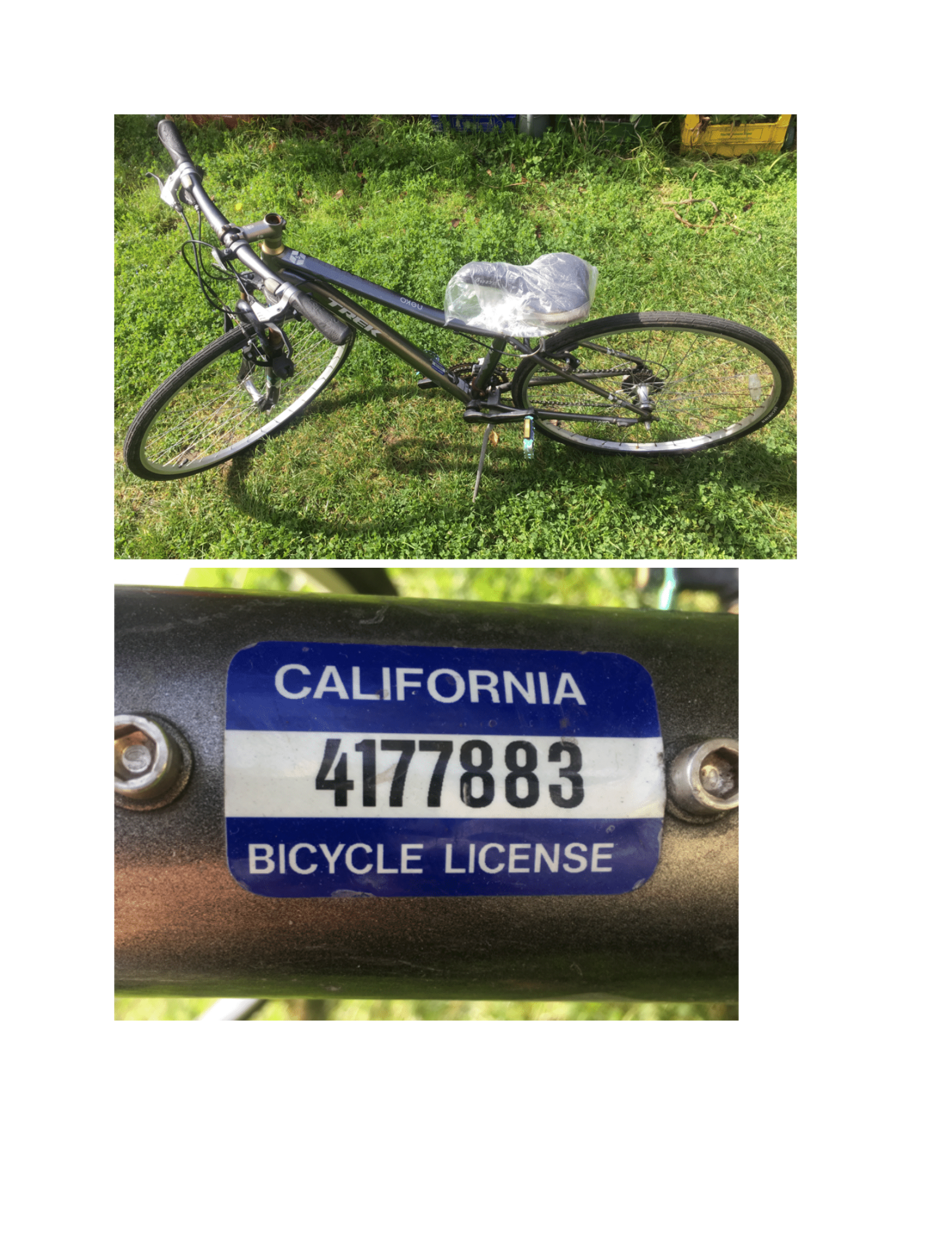 2015 Trek WSD Alpha Gold Aluminum Silver, gray or bare metal