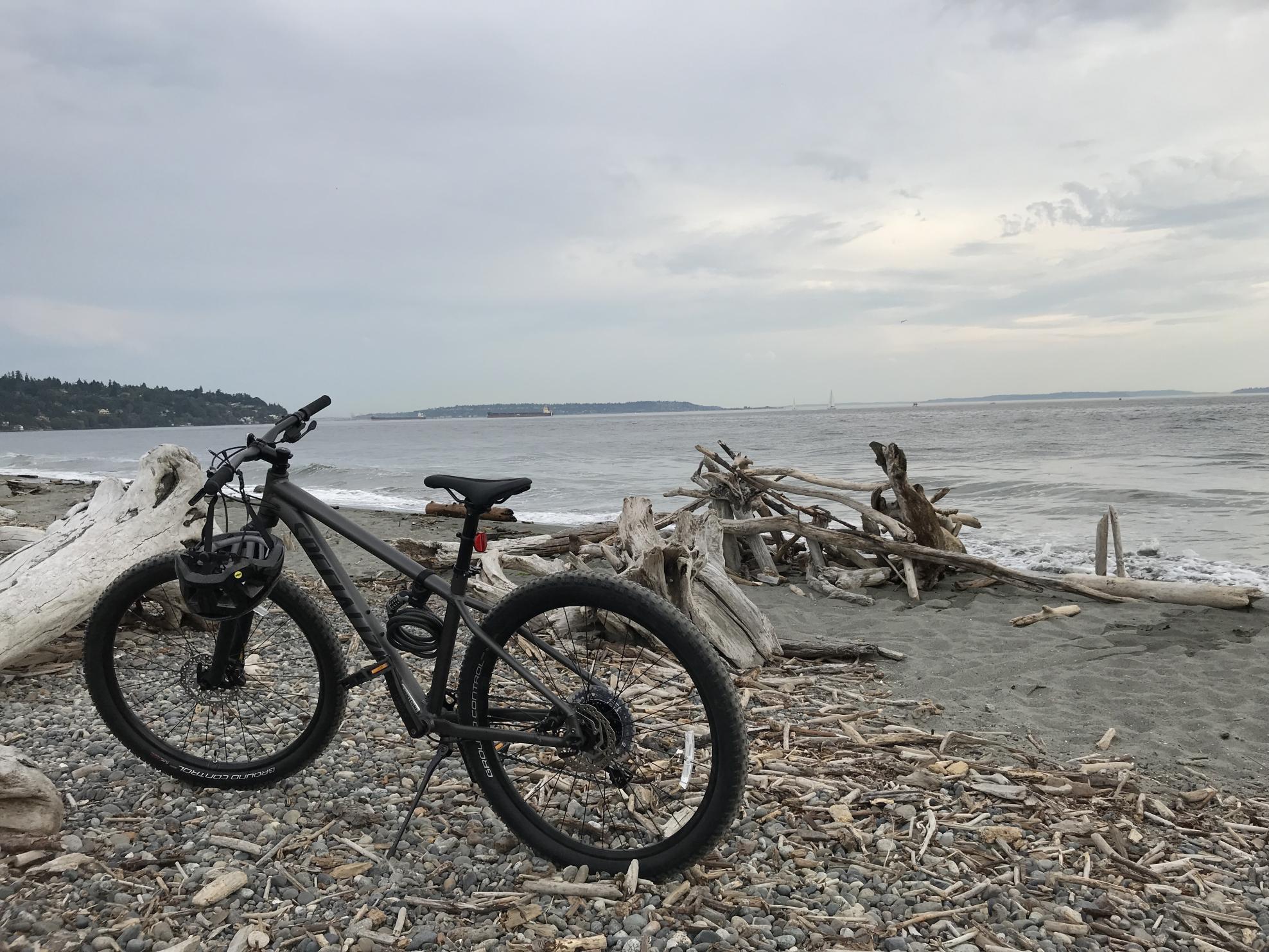 2020 Specialized Rockhopper Comp 27.5 Silver, gray or bare metal
