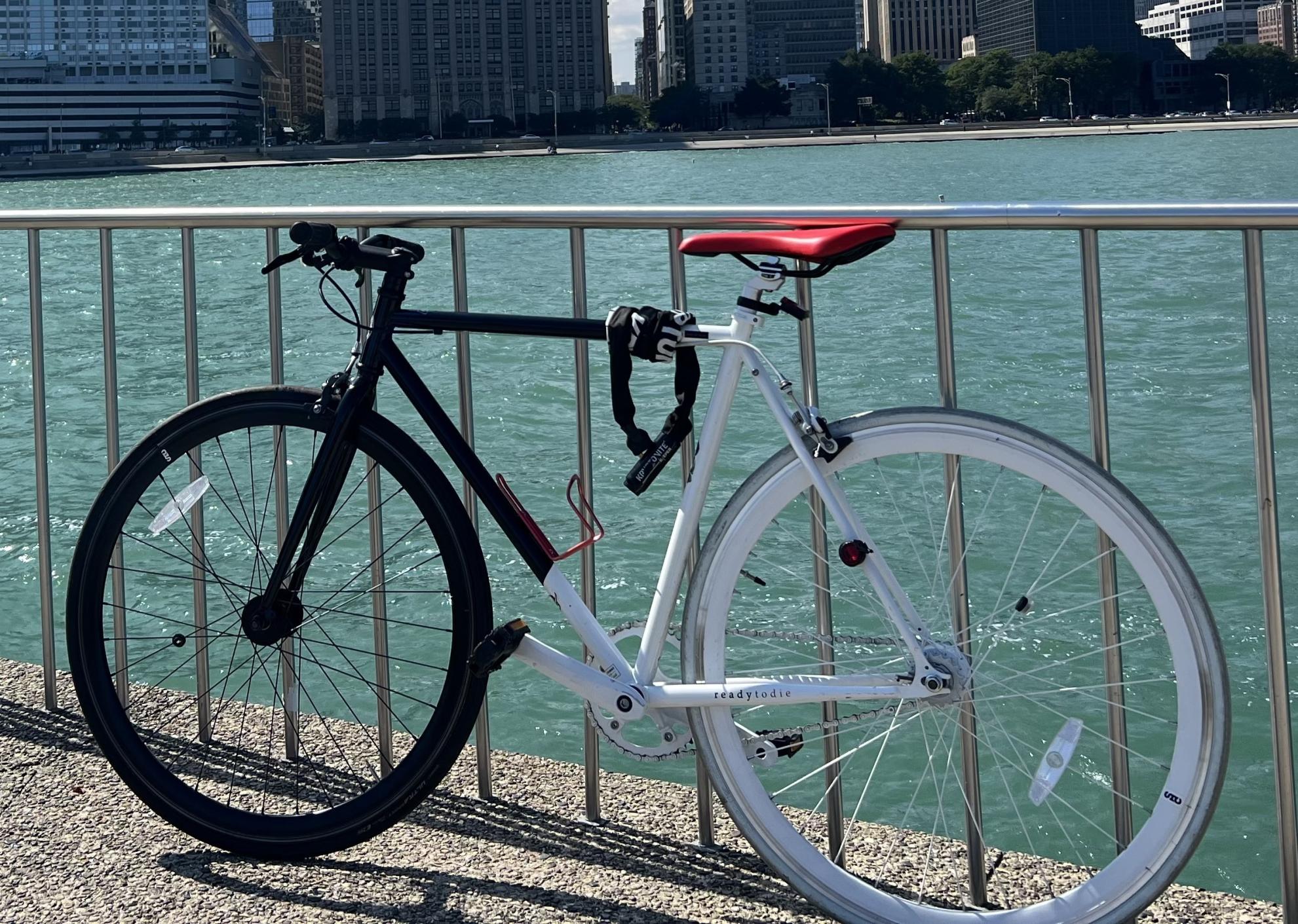 2021 State Bicycle Co. White, Black, and Red