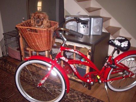 2007 Electra Bicycle Company Beach Cruiser  Red