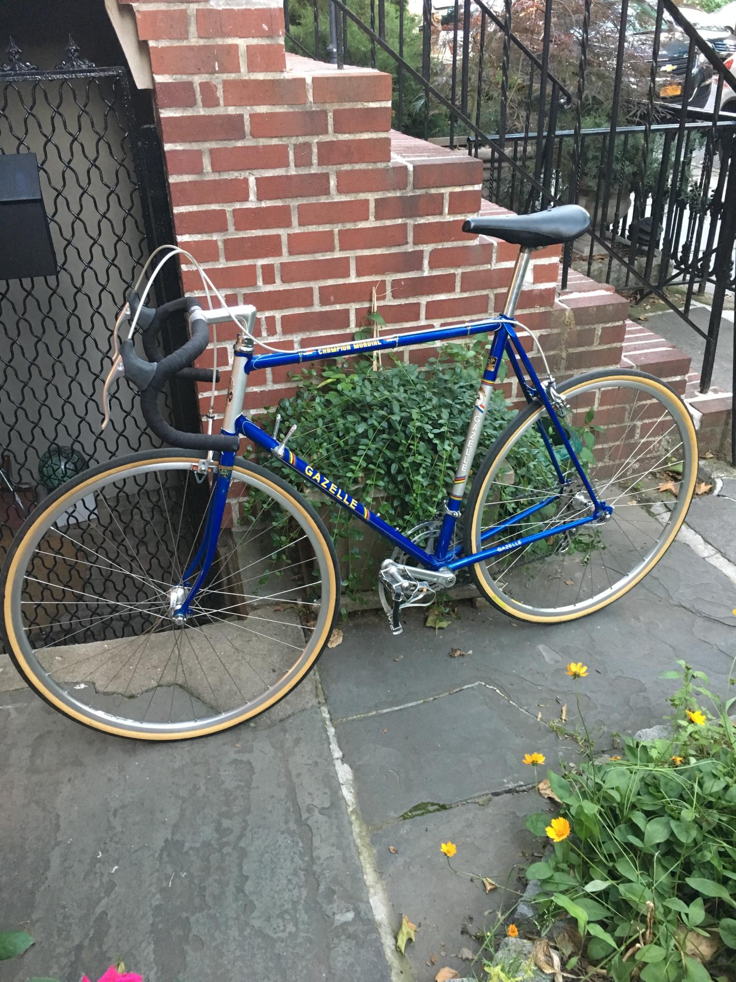 1978 Gazelle Champion Mondial Blue and Silver or Gray