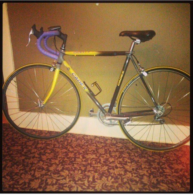 Giant Cadex  Yellow or Gold