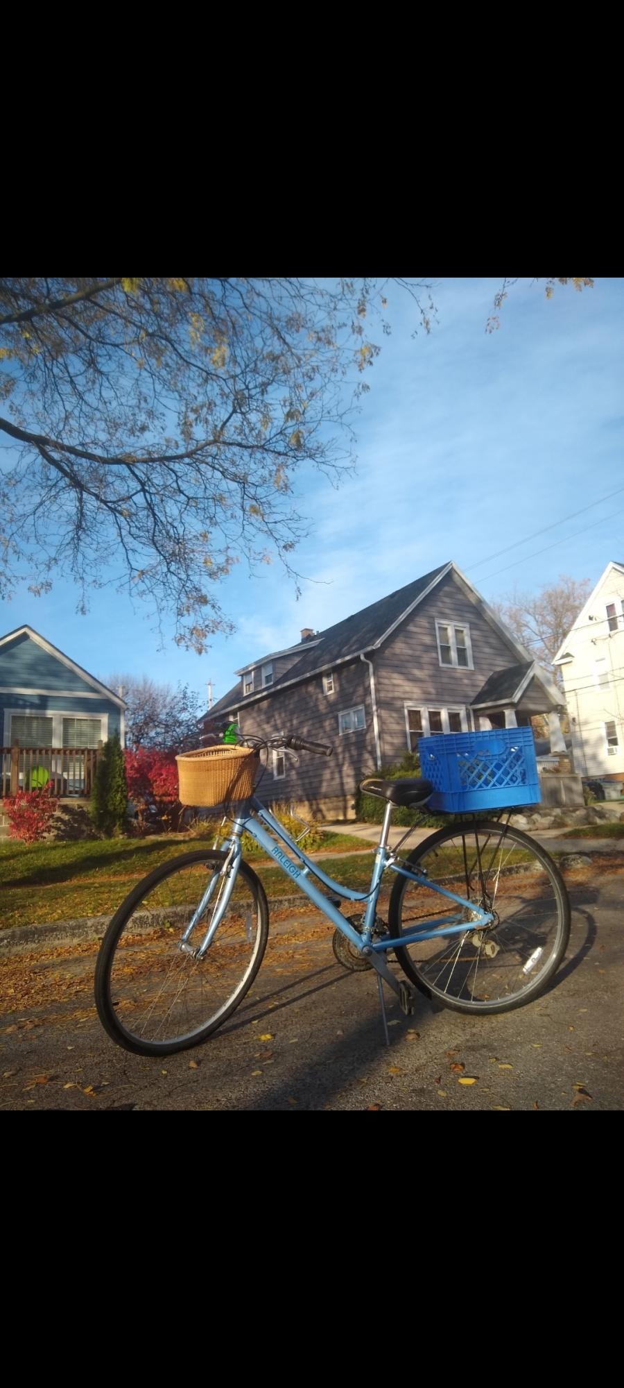 Raleigh Detour 3.5 Blue