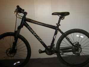 Devinci Cameleon  Black
