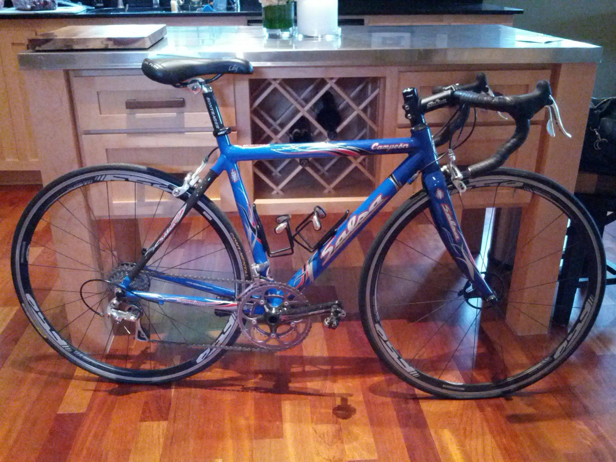 2006 Salsa Campeon  Blue