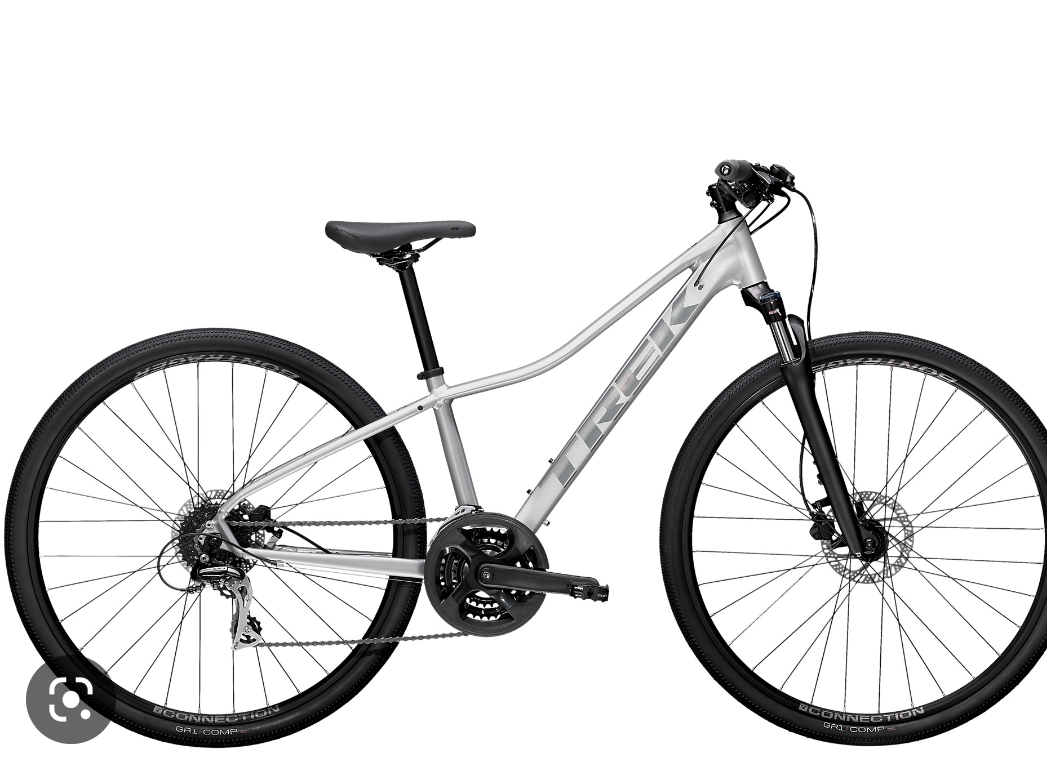 2021 Trek Dual Sport 2 Silver, gray or bare metal