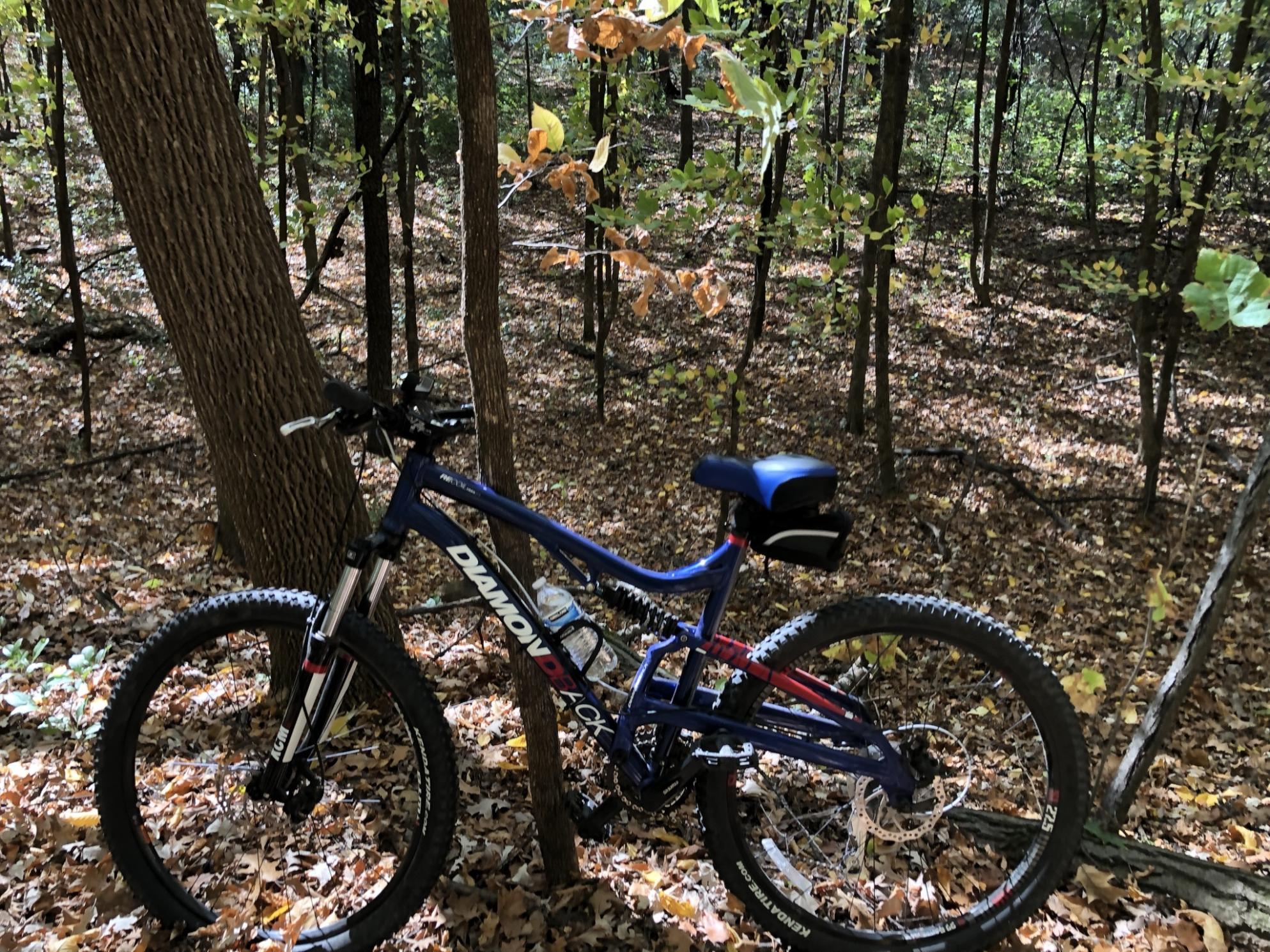 2016 Diamondback Recoil Blue