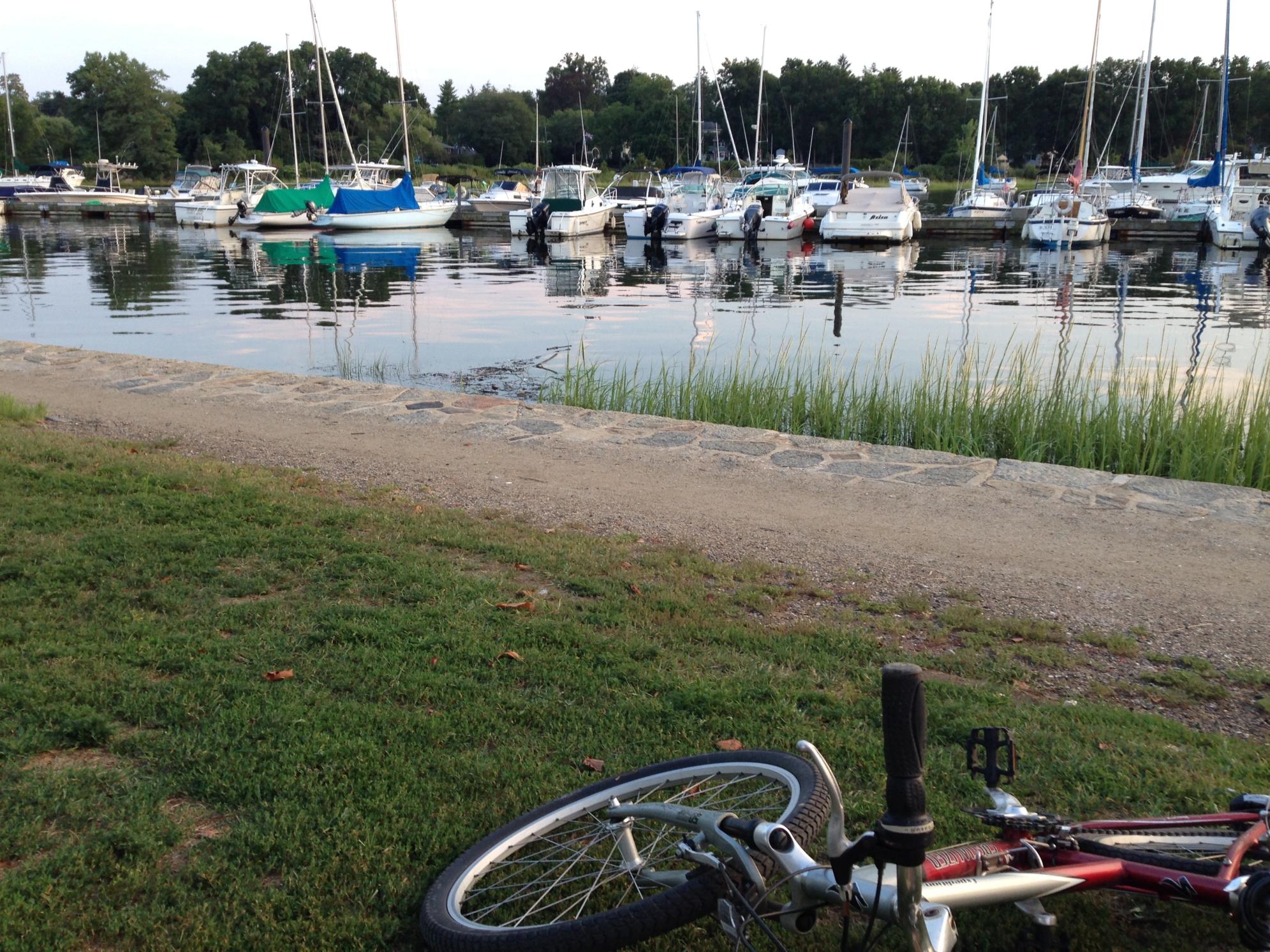 2003 Specialized Red and White