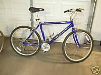 1999 Giant Rincon  Blue