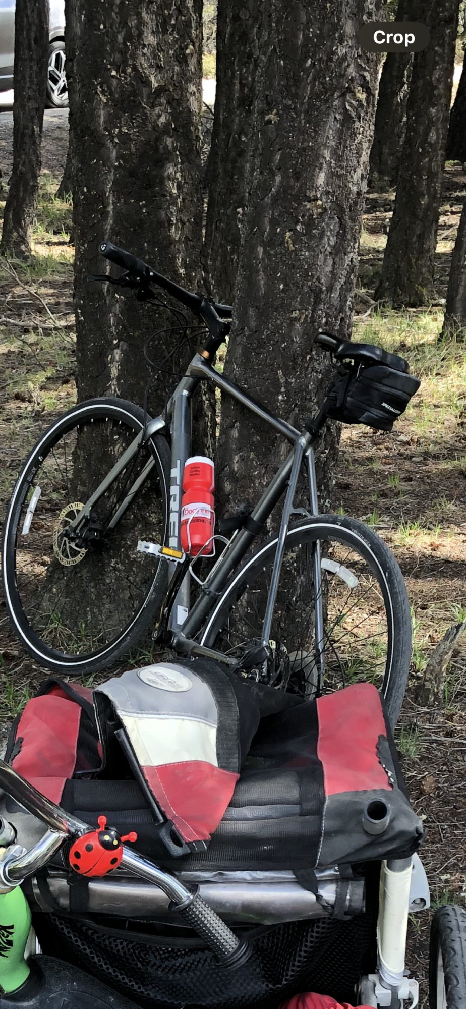 2016 Trek Zector 2 Silver, gray or bare metal
