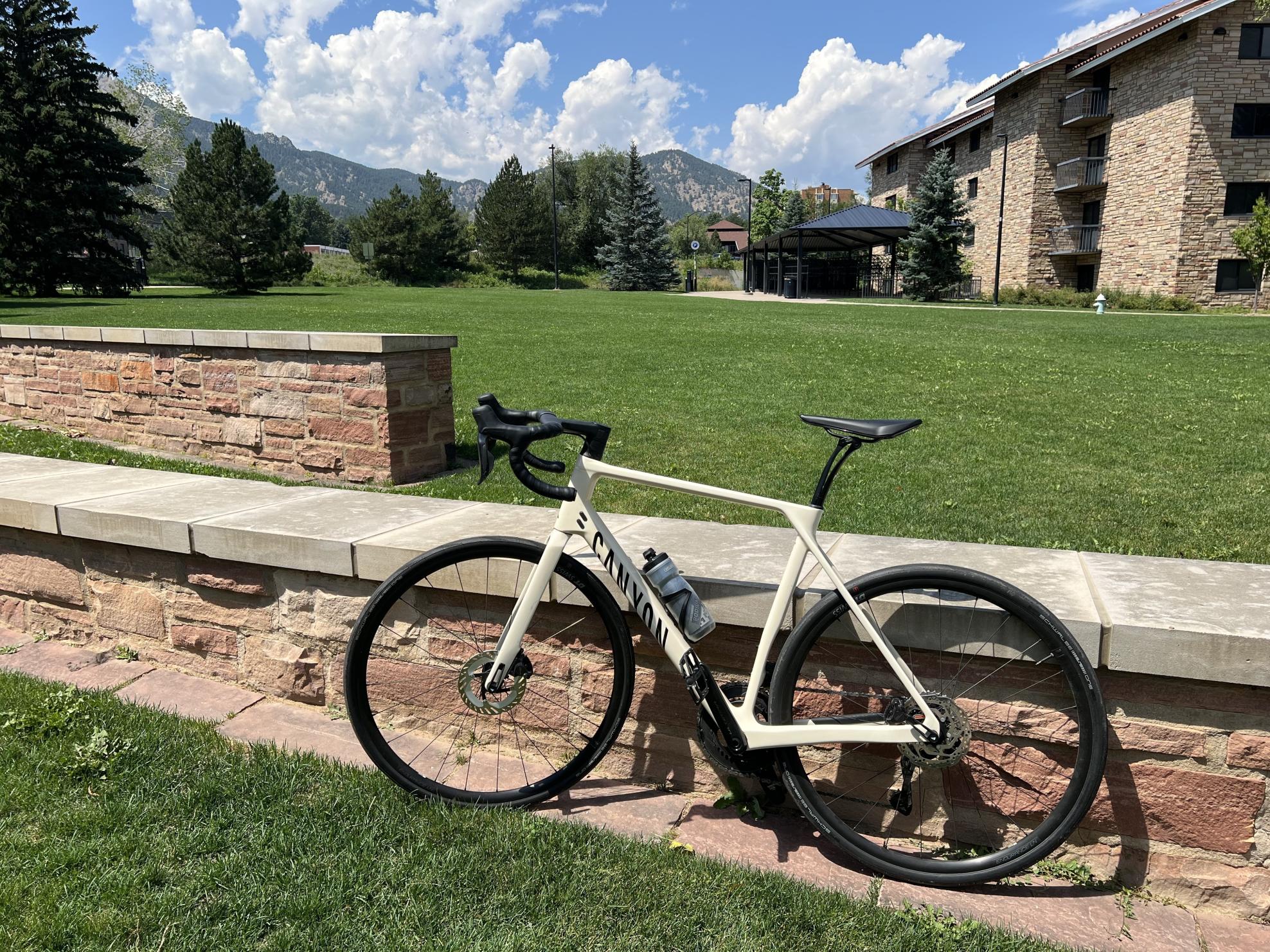 2024 Canyon bicycles Endurace Brown