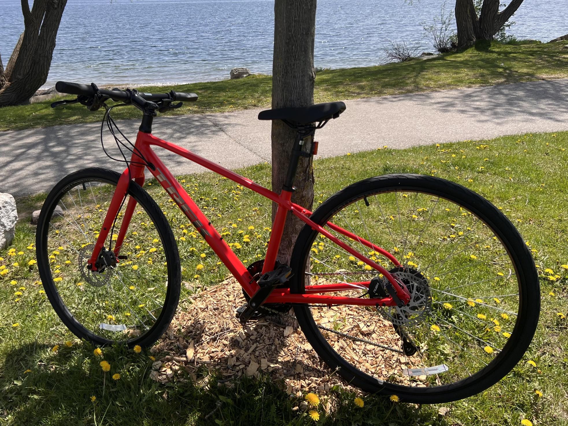 2023 Trek FX2 Red