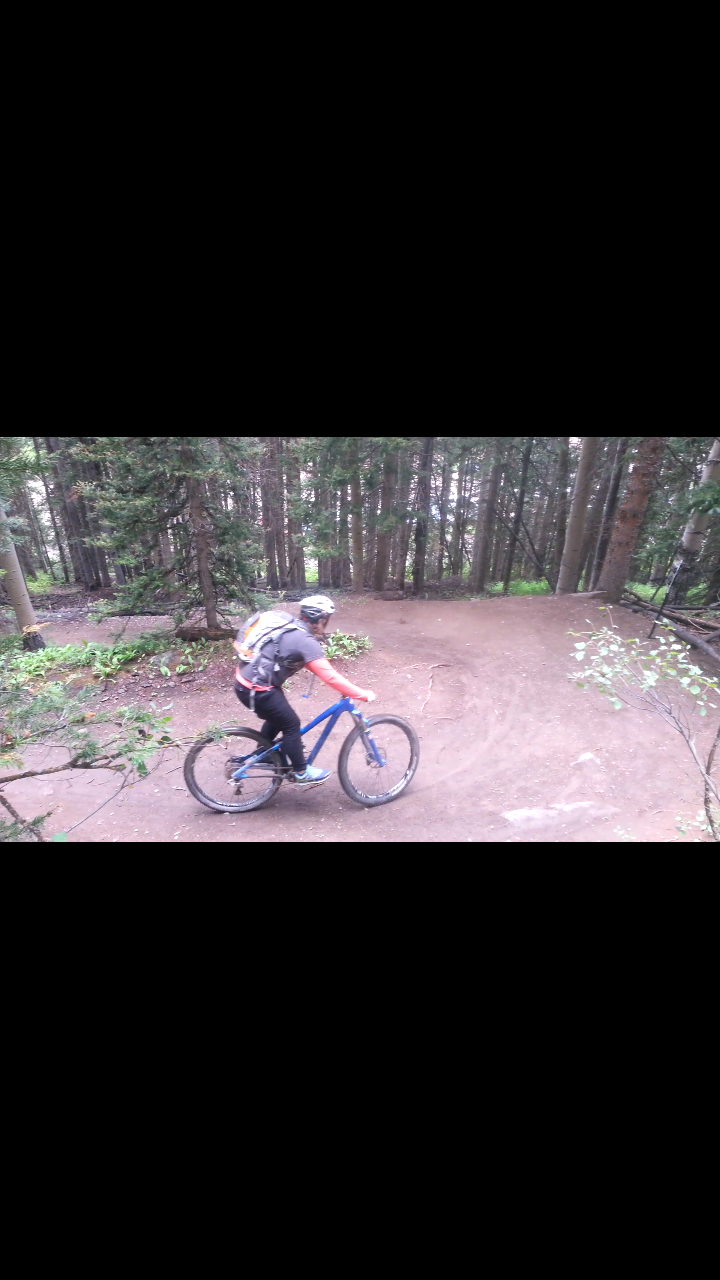 2014 Niner R.I.P. 9.0 Blue